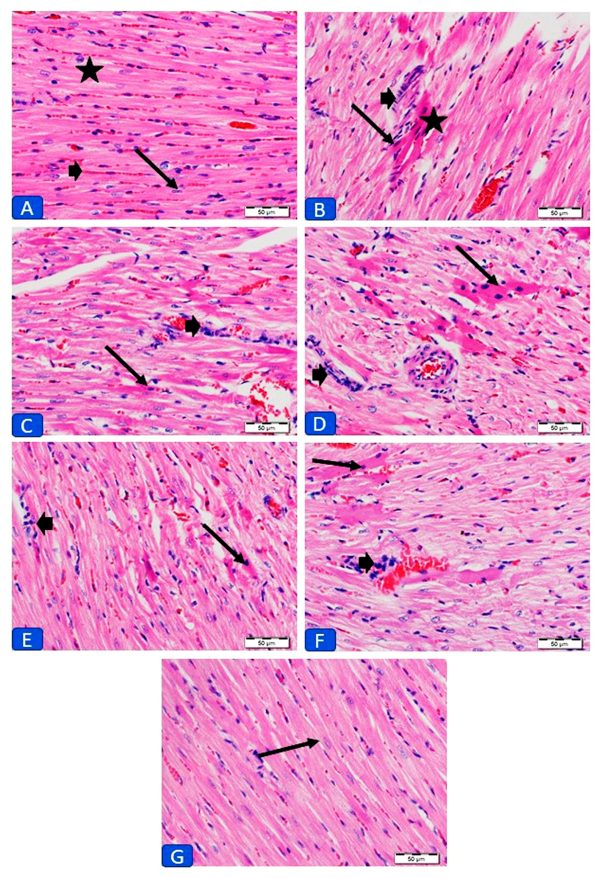 Antioxidants 09 00159 g002