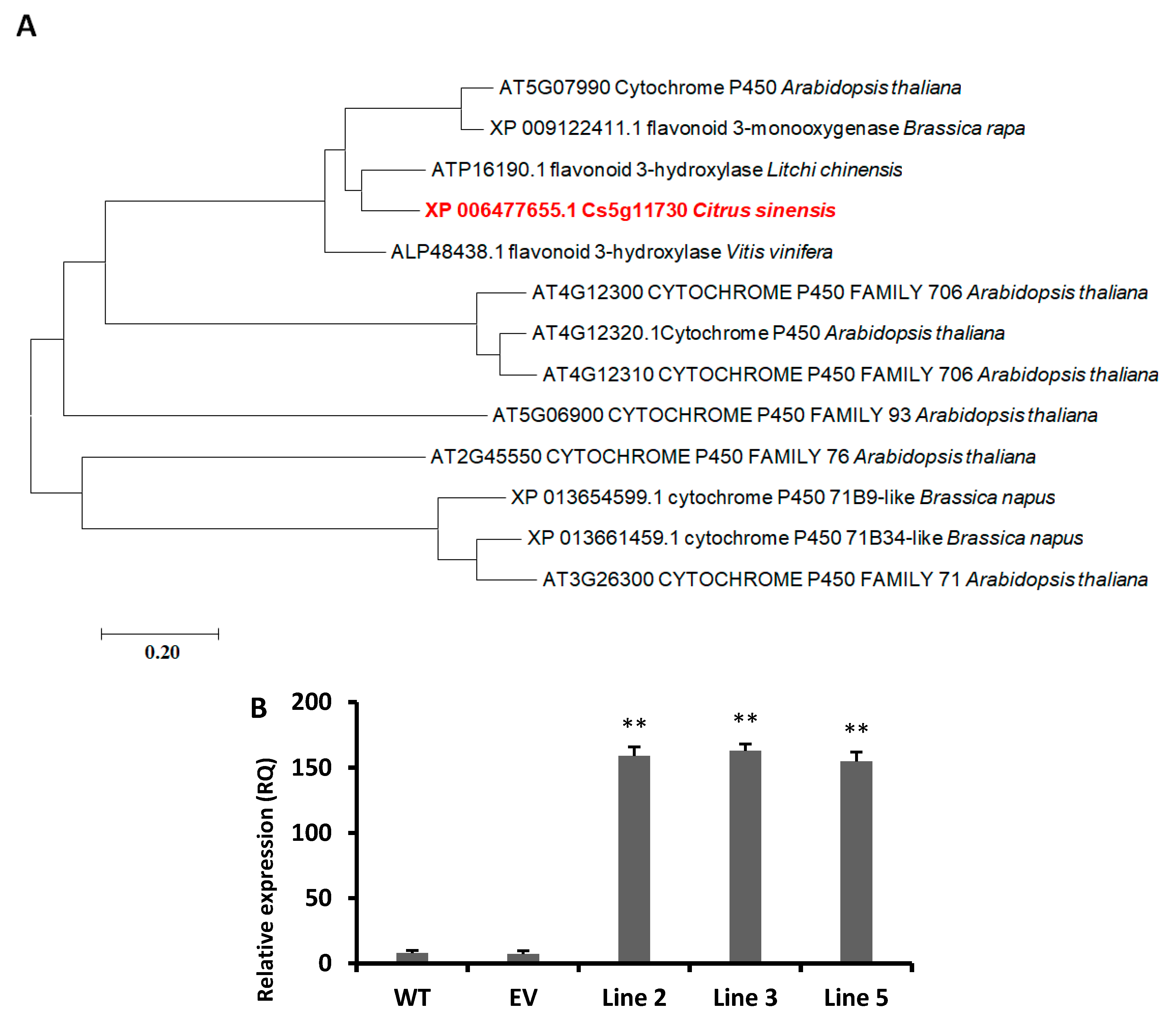 Antioxidants 09 00161 g001