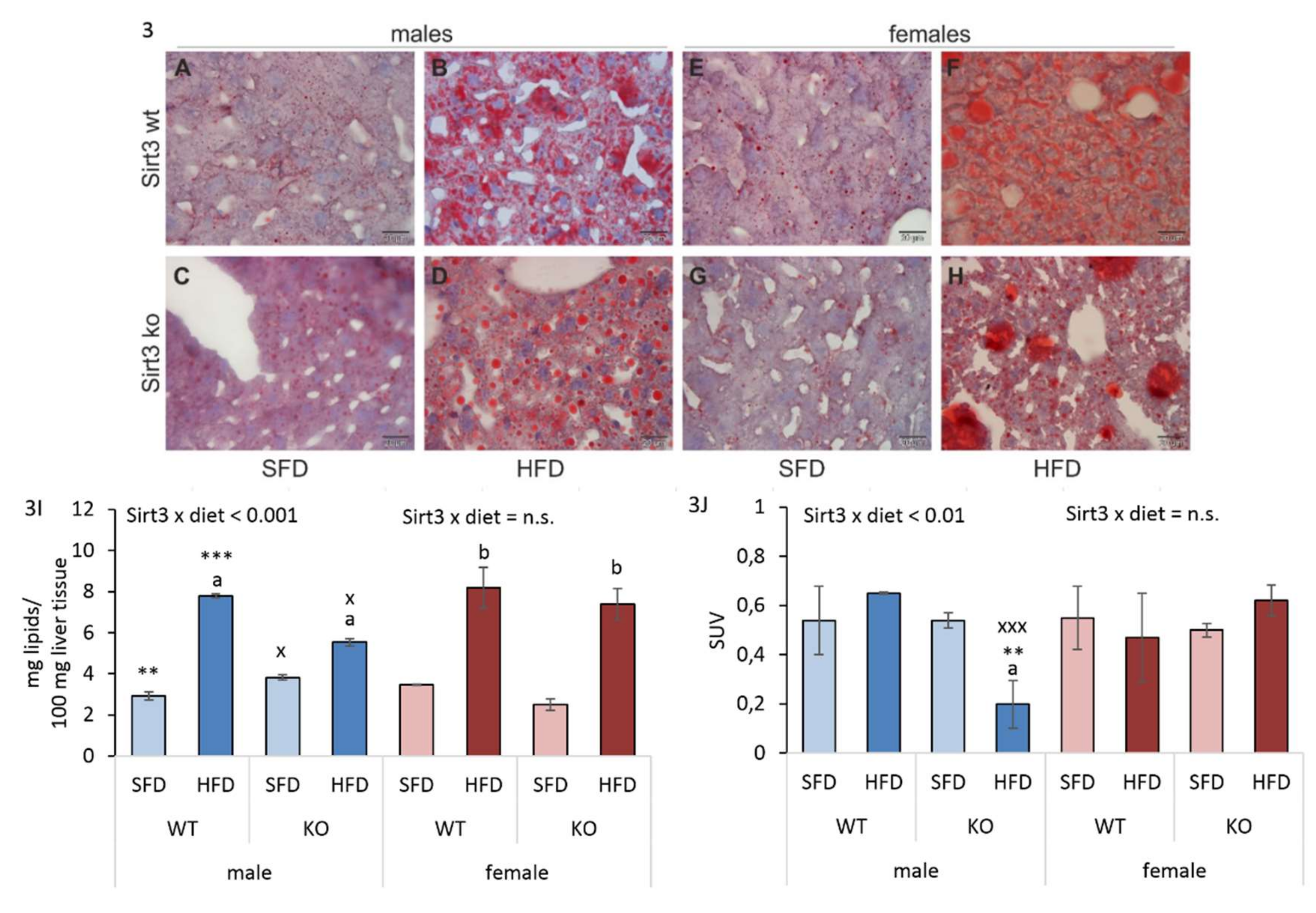 Antioxidants 09 00174 g003