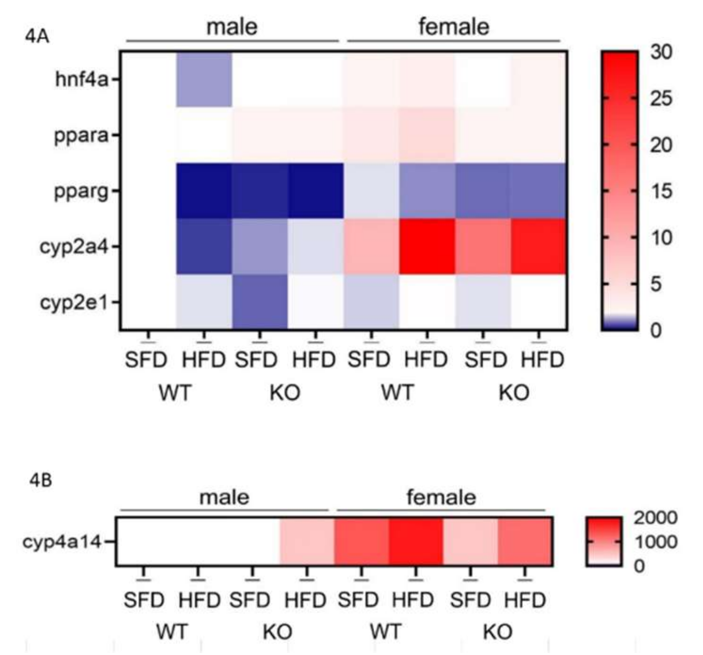 Antioxidants 09 00174 g004a