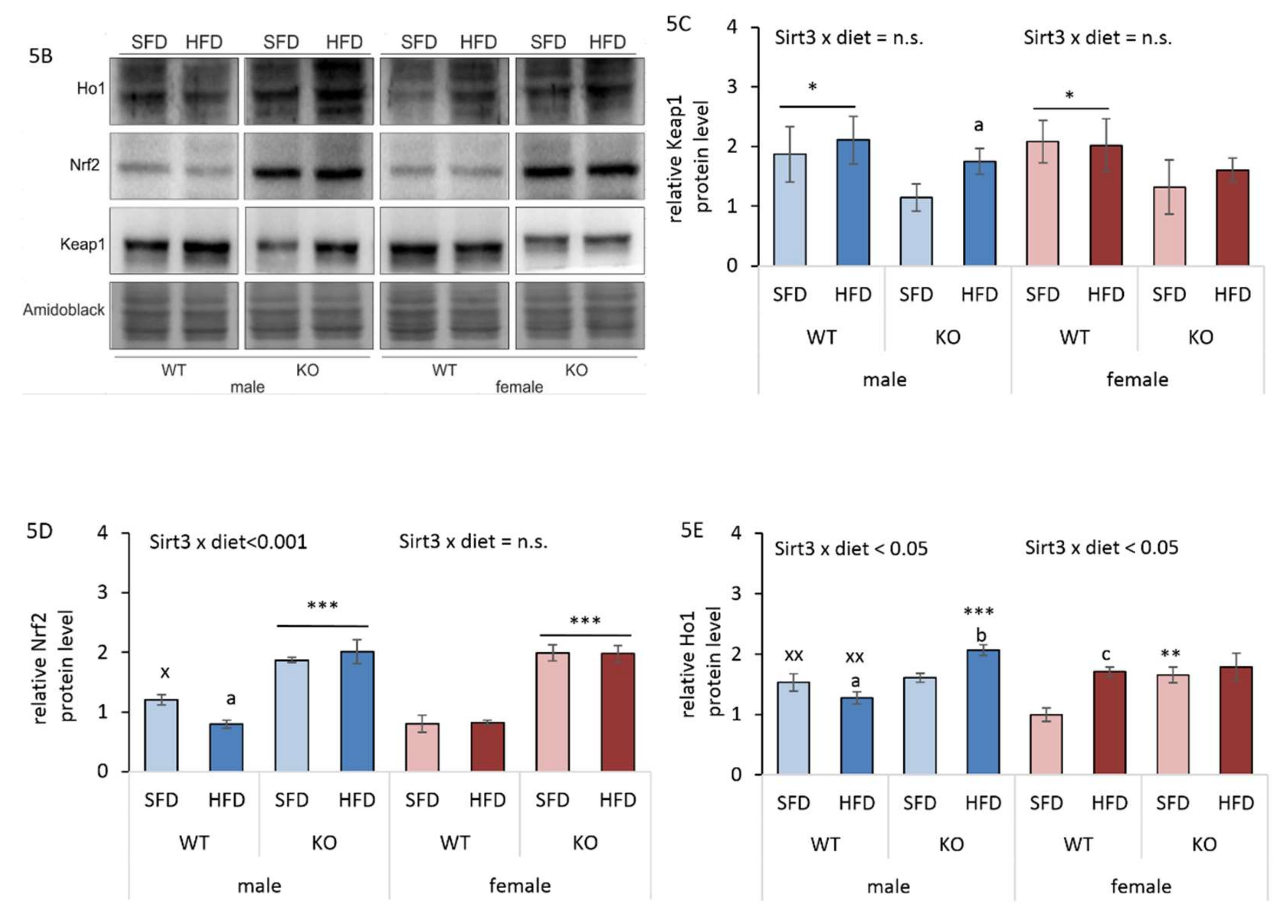 Antioxidants 09 00174 g005b