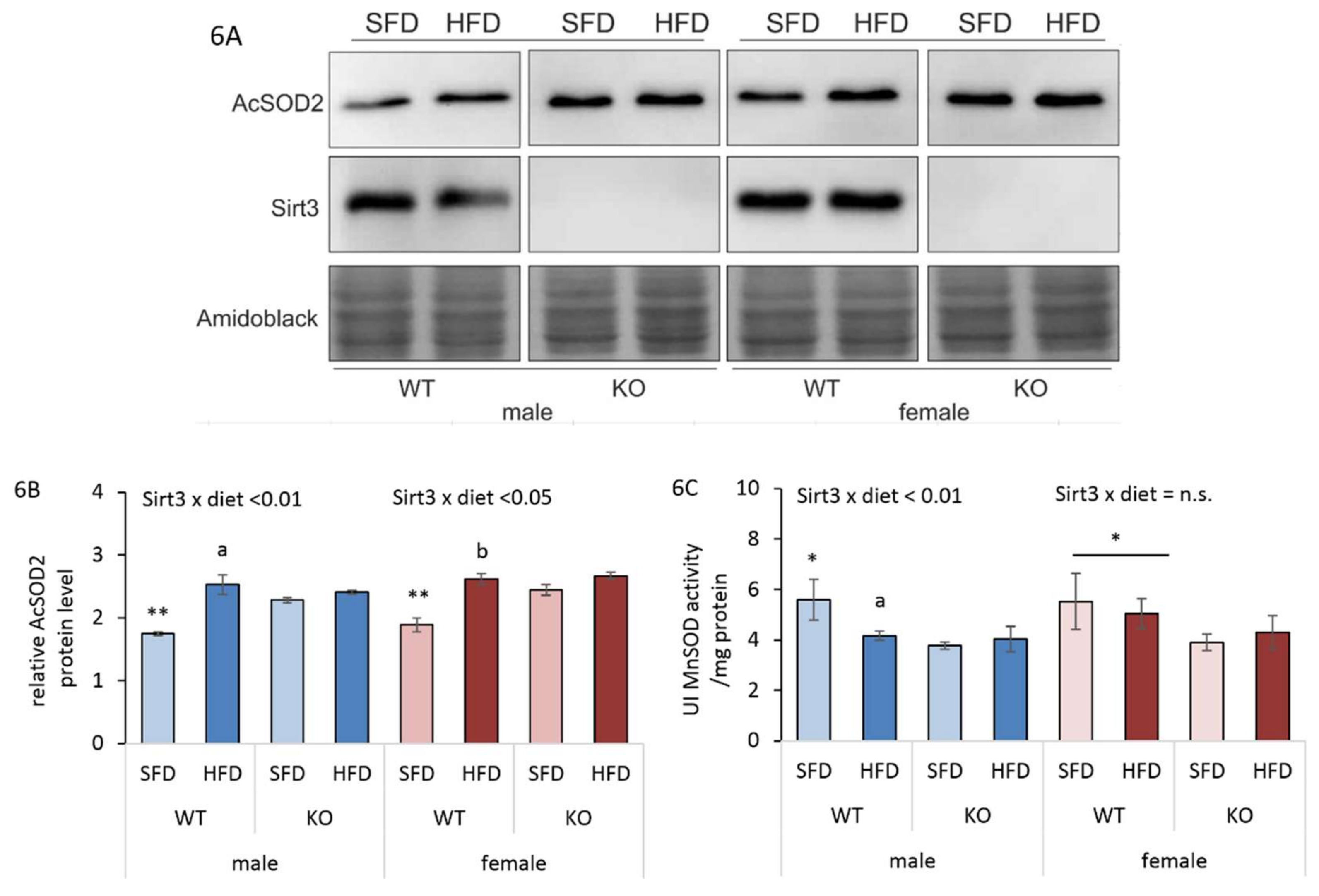 Antioxidants 09 00174 g006