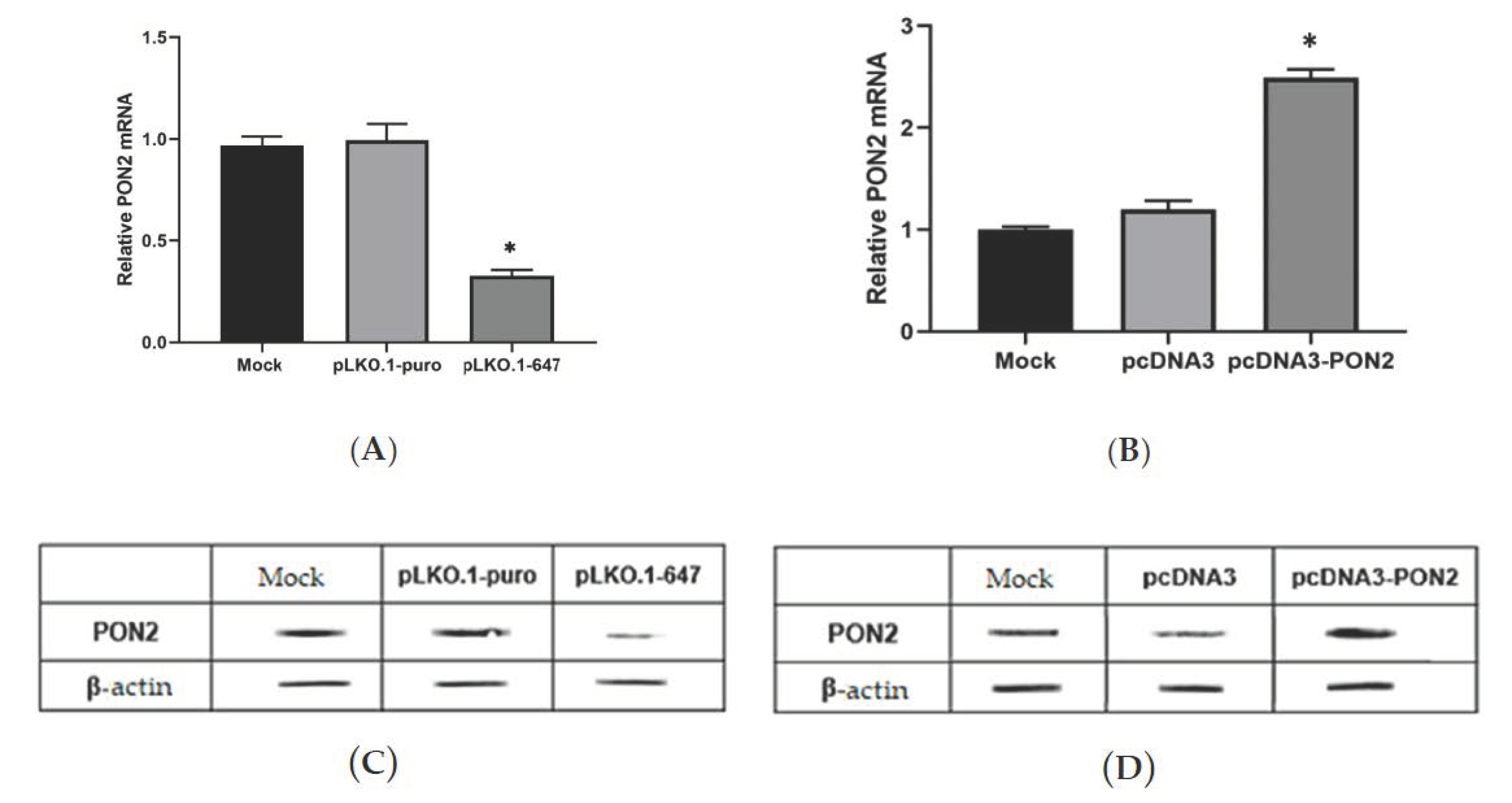 Antioxidants 09 00175 g001