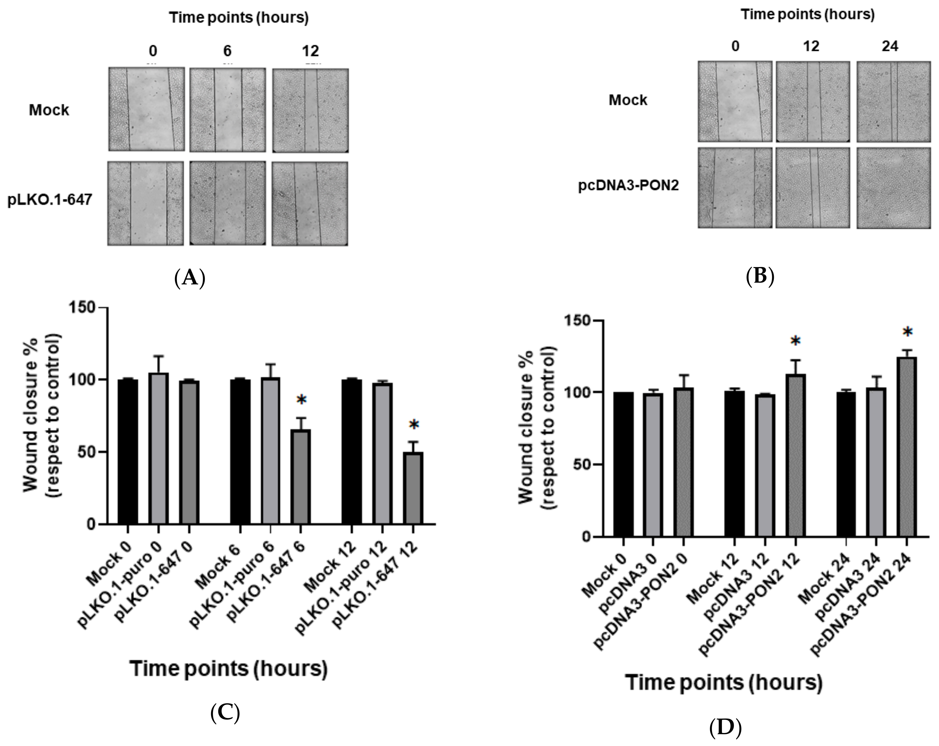 Antioxidants 09 00175 g003