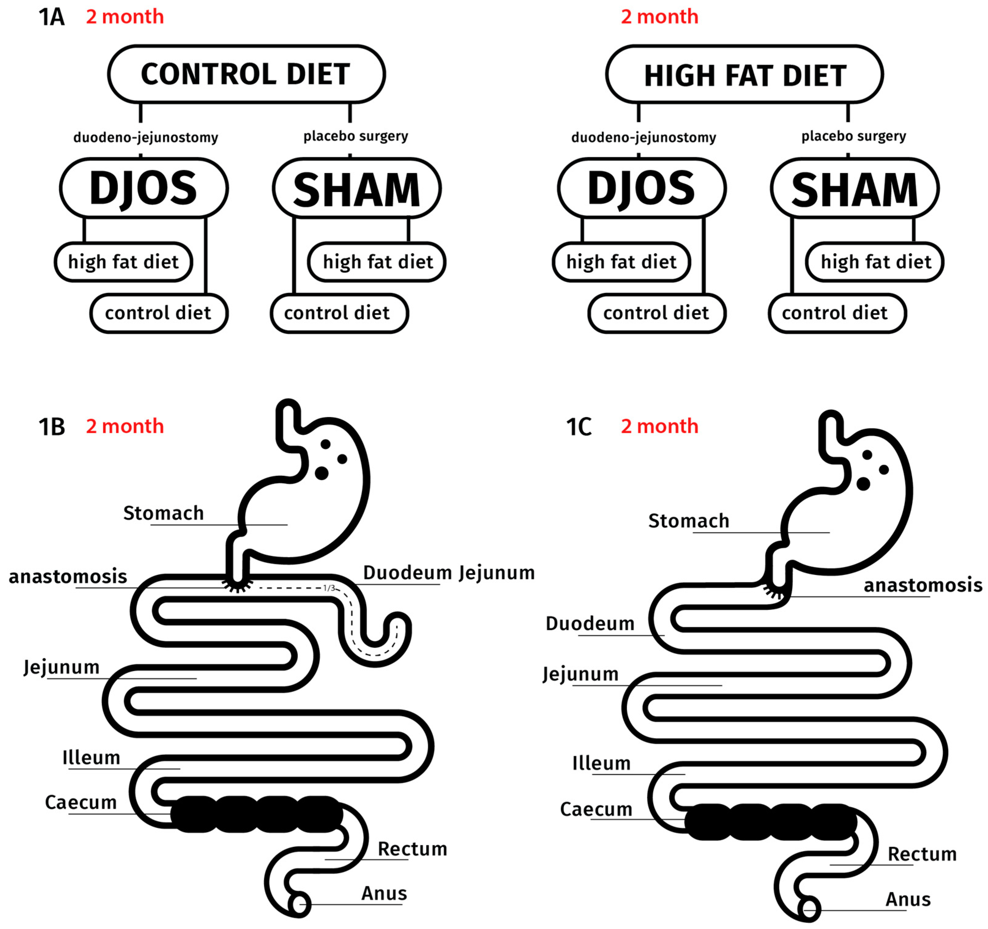 Antioxidants 09 00183 g001 Antioxidants 09 00183 g001