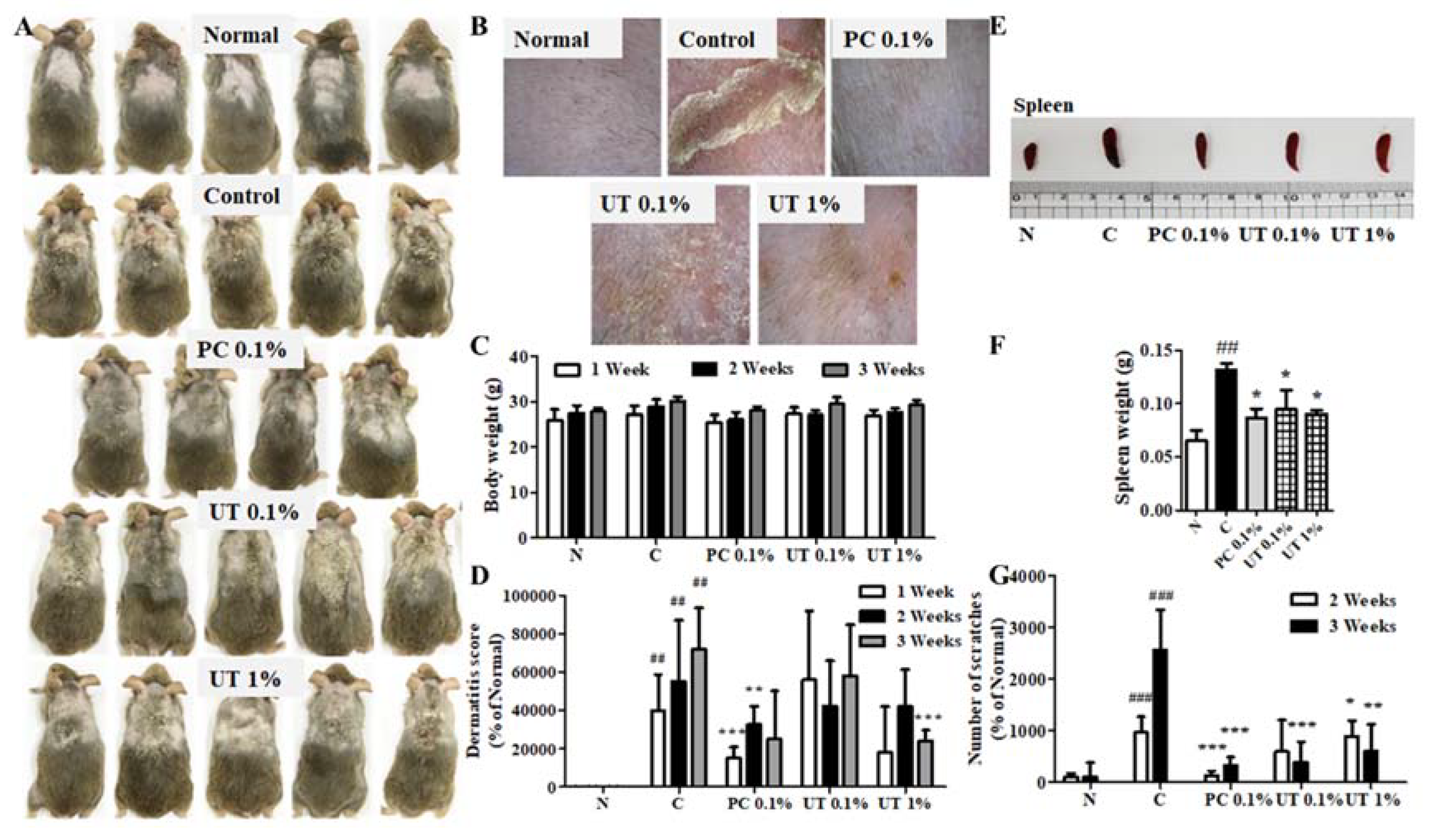 Antioxidants 09 00197 g004