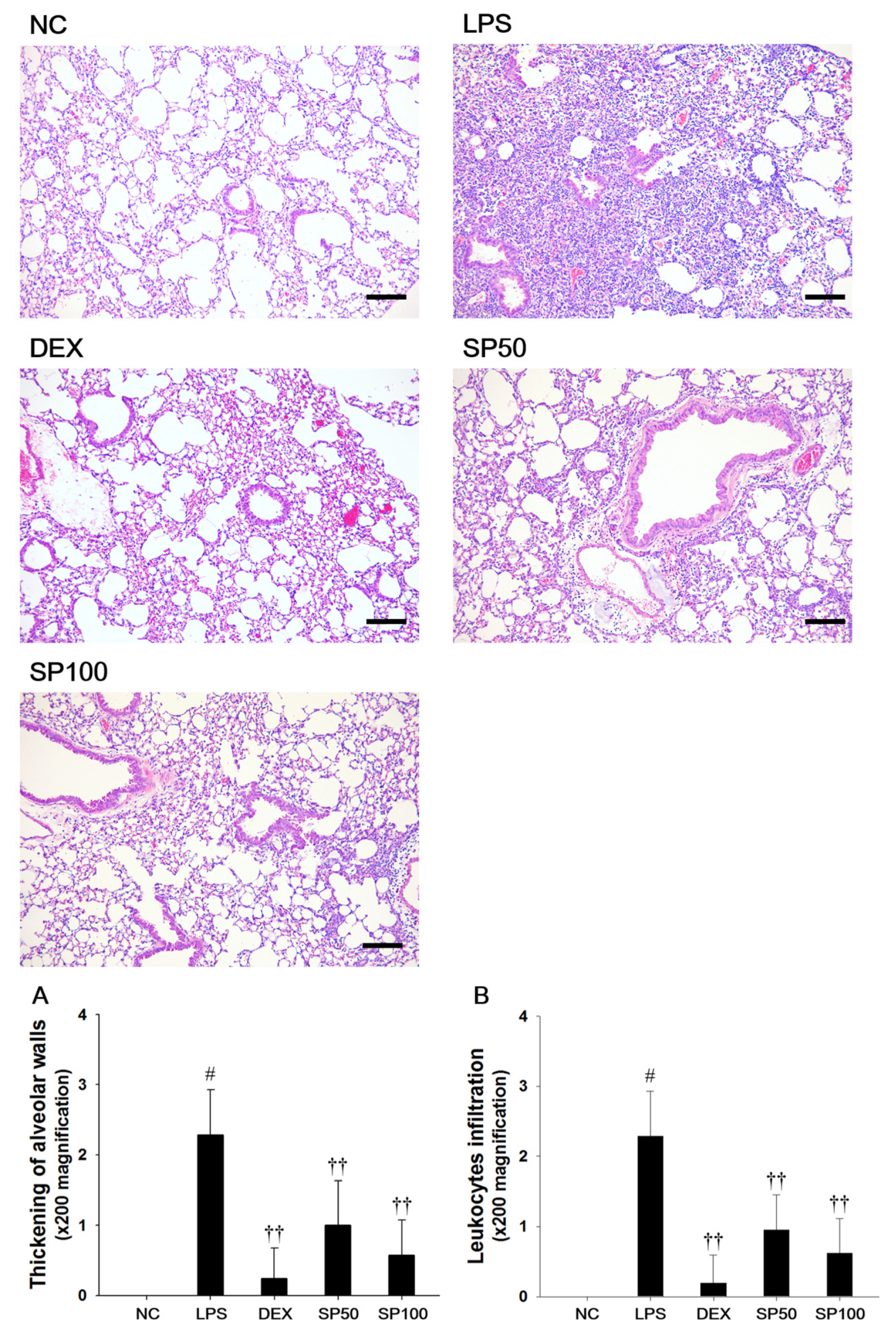 Antioxidants 09 00198 g003 Antioxidants 09 00198 g003