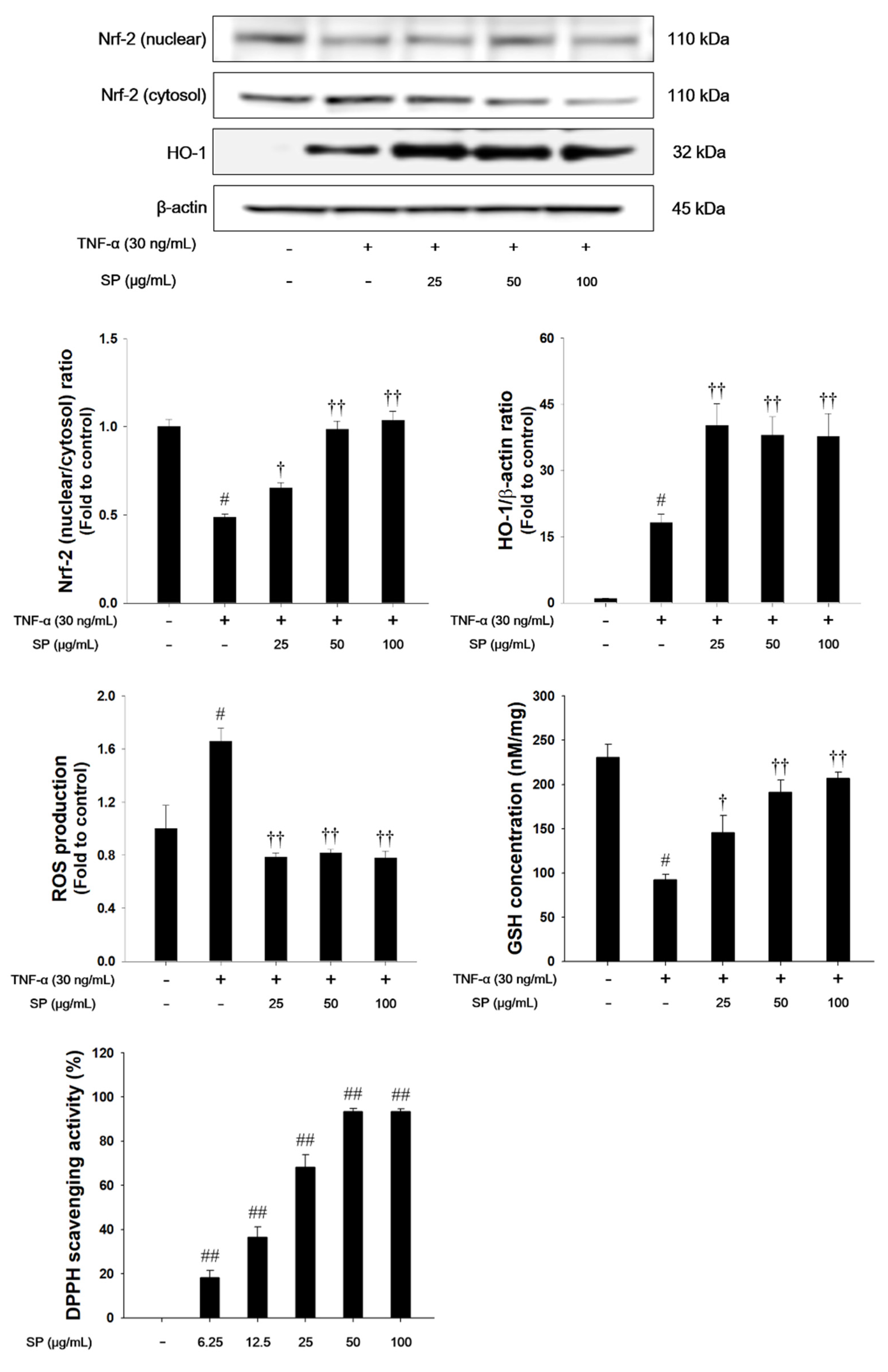 Antioxidants 09 00198 g008 Antioxidants 09 00198 g008