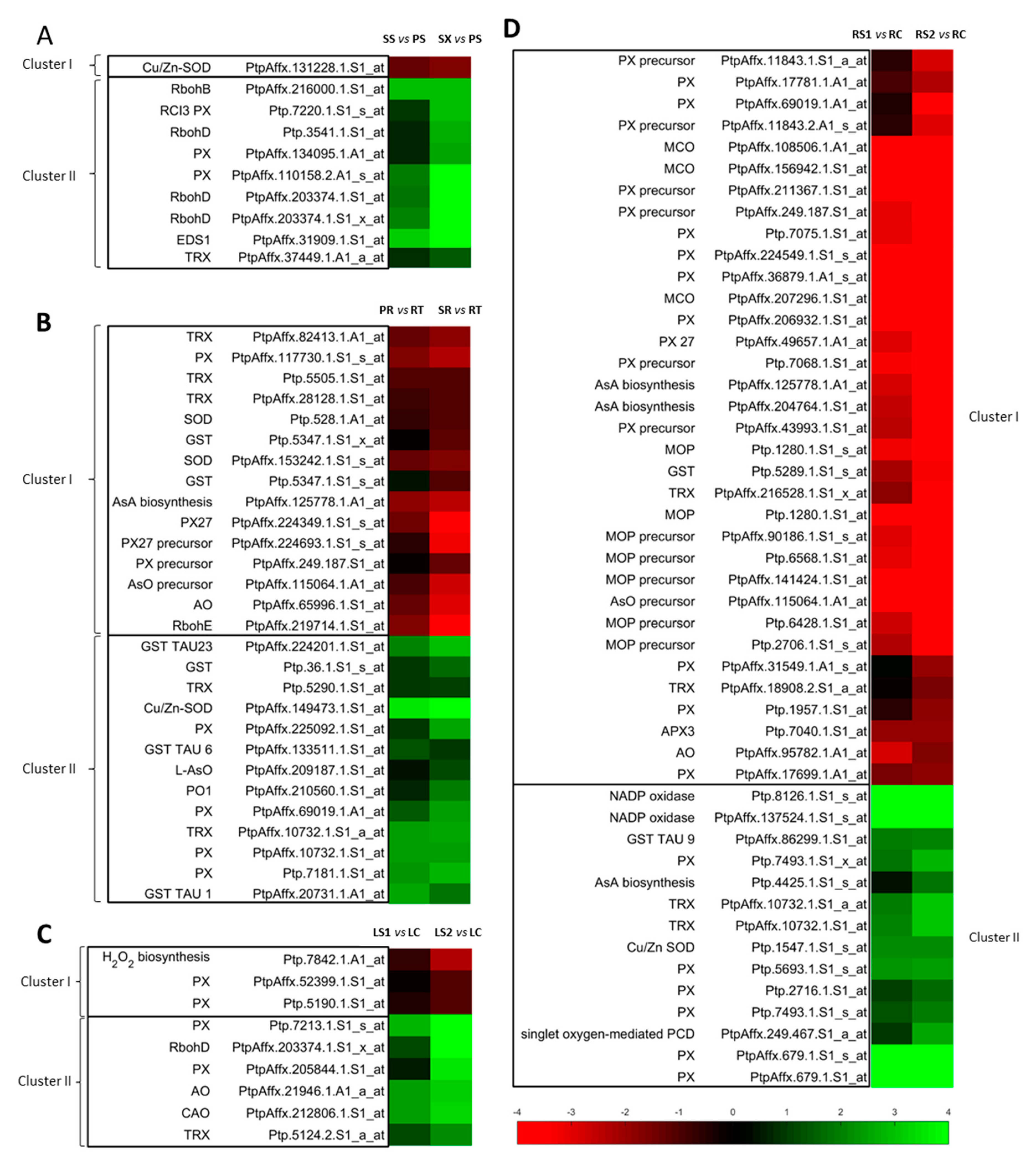 Antioxidants 09 00199 g001