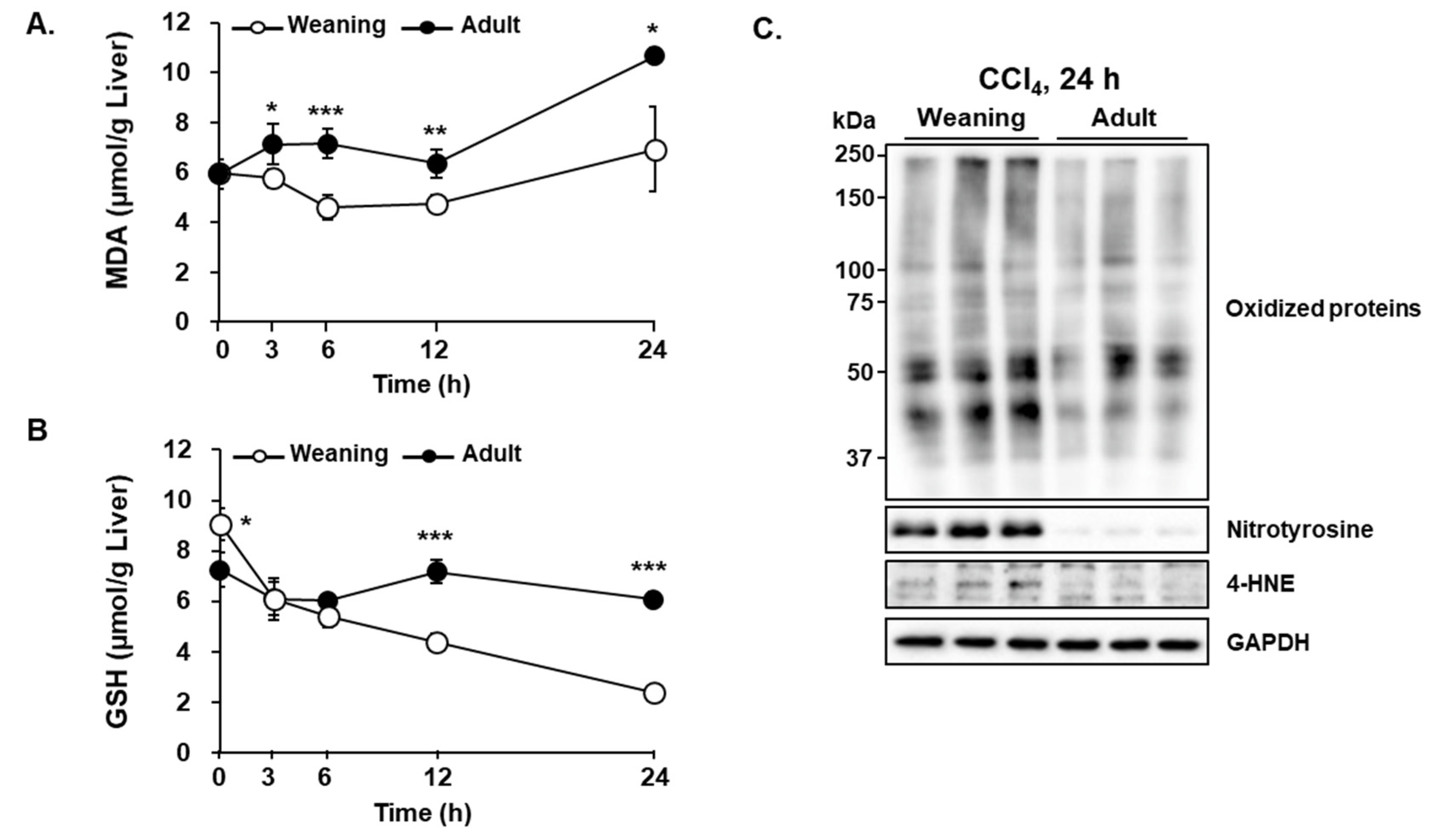 Antioxidants 09 00201 g004