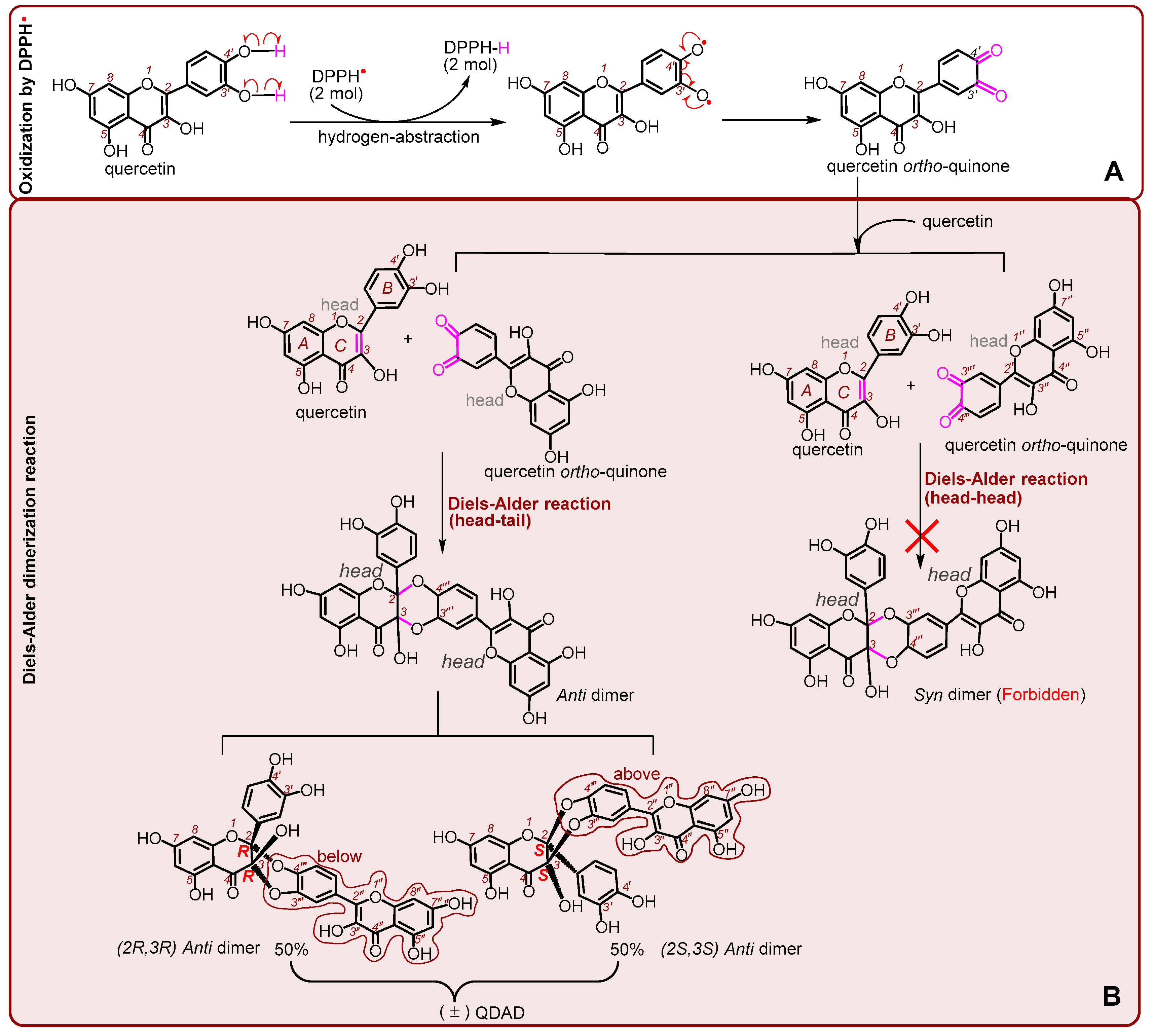 Antioxidants 09 00205 g008