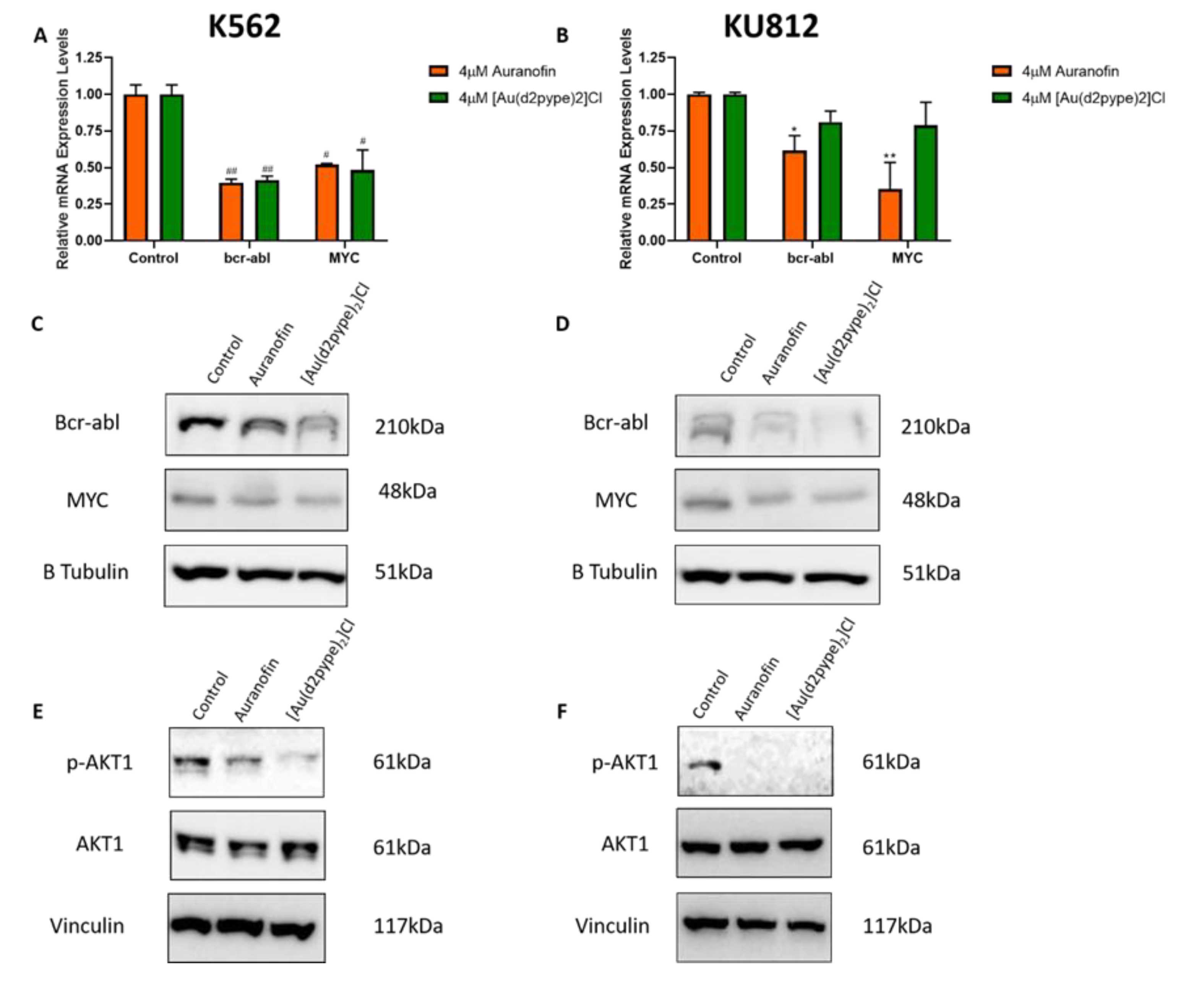 Antioxidants 09 00207 g003