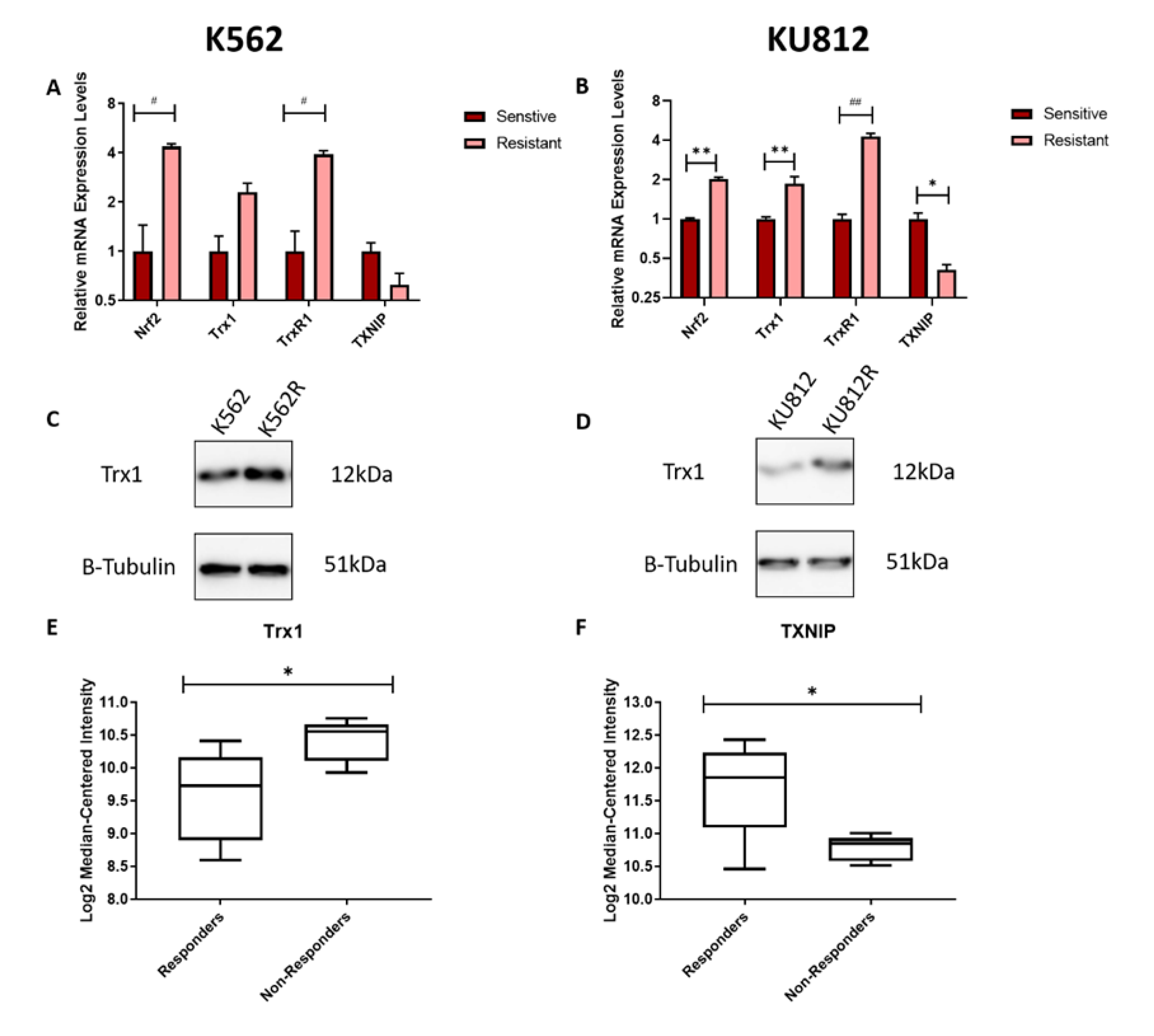Antioxidants 09 00207 g005