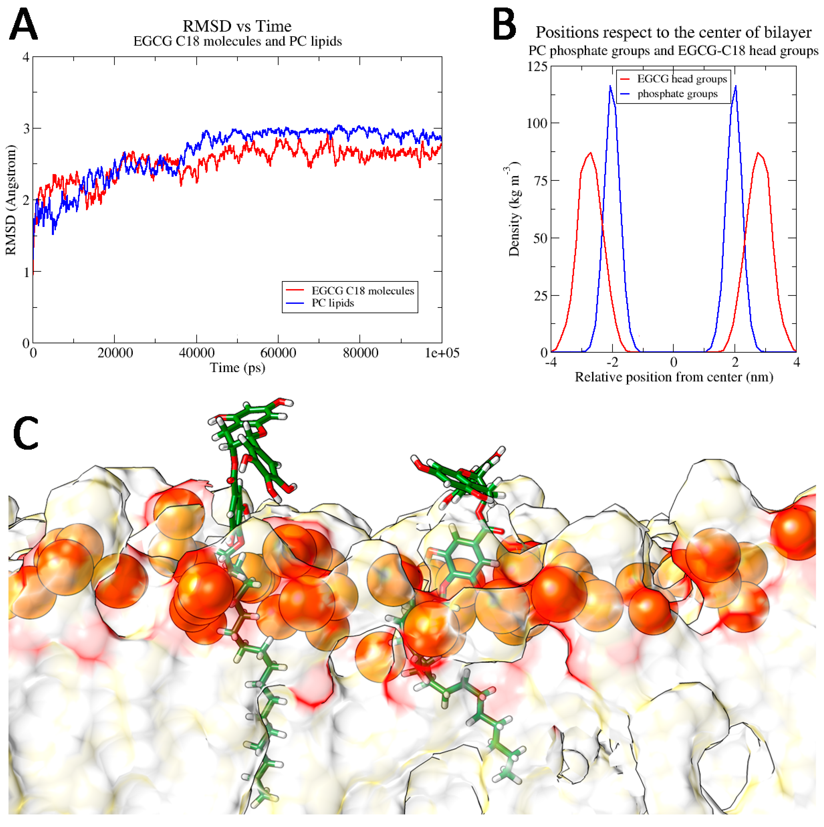 Antioxidants 09 00208 g005