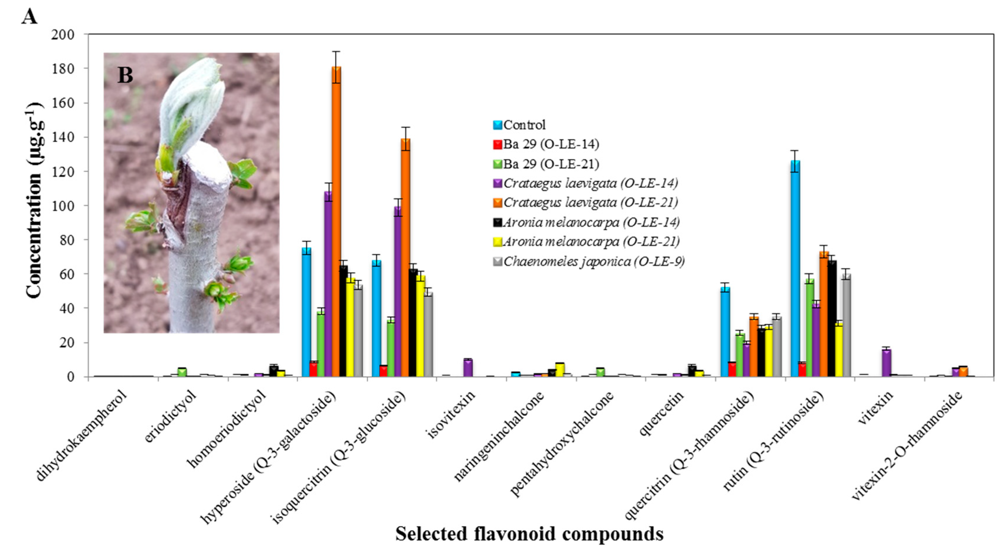 Antioxidants 09 00209 g001