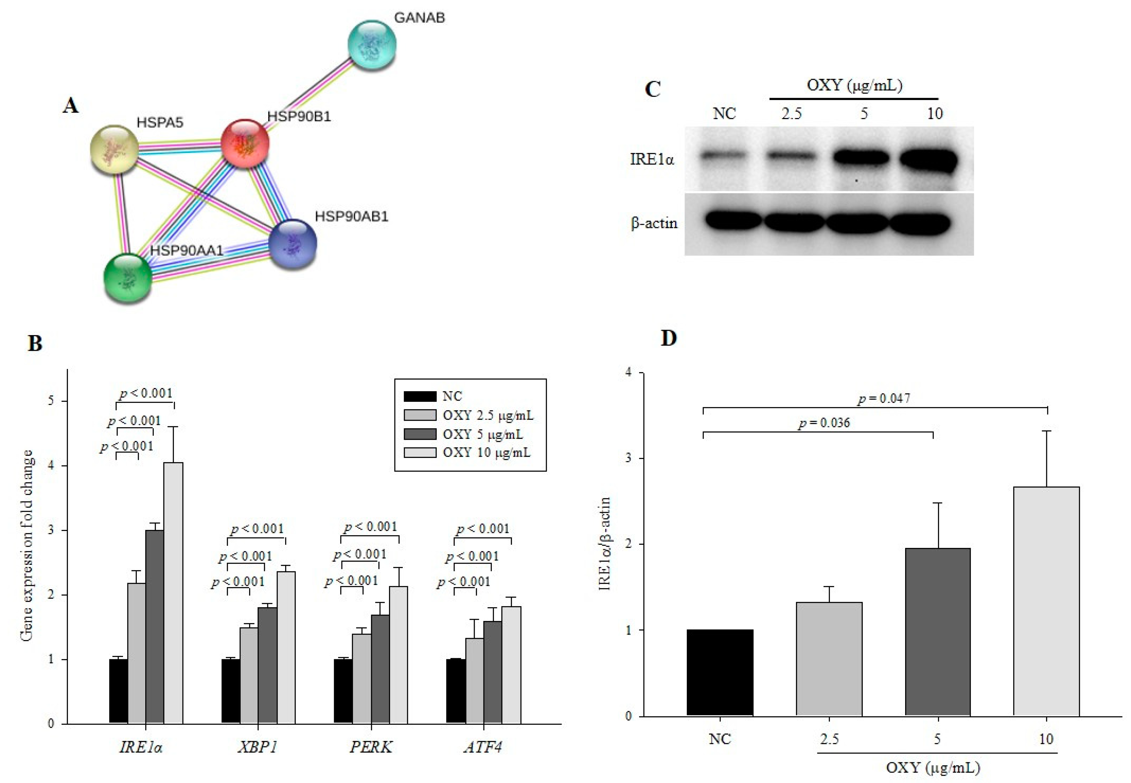 Antioxidants 09 00214 g007