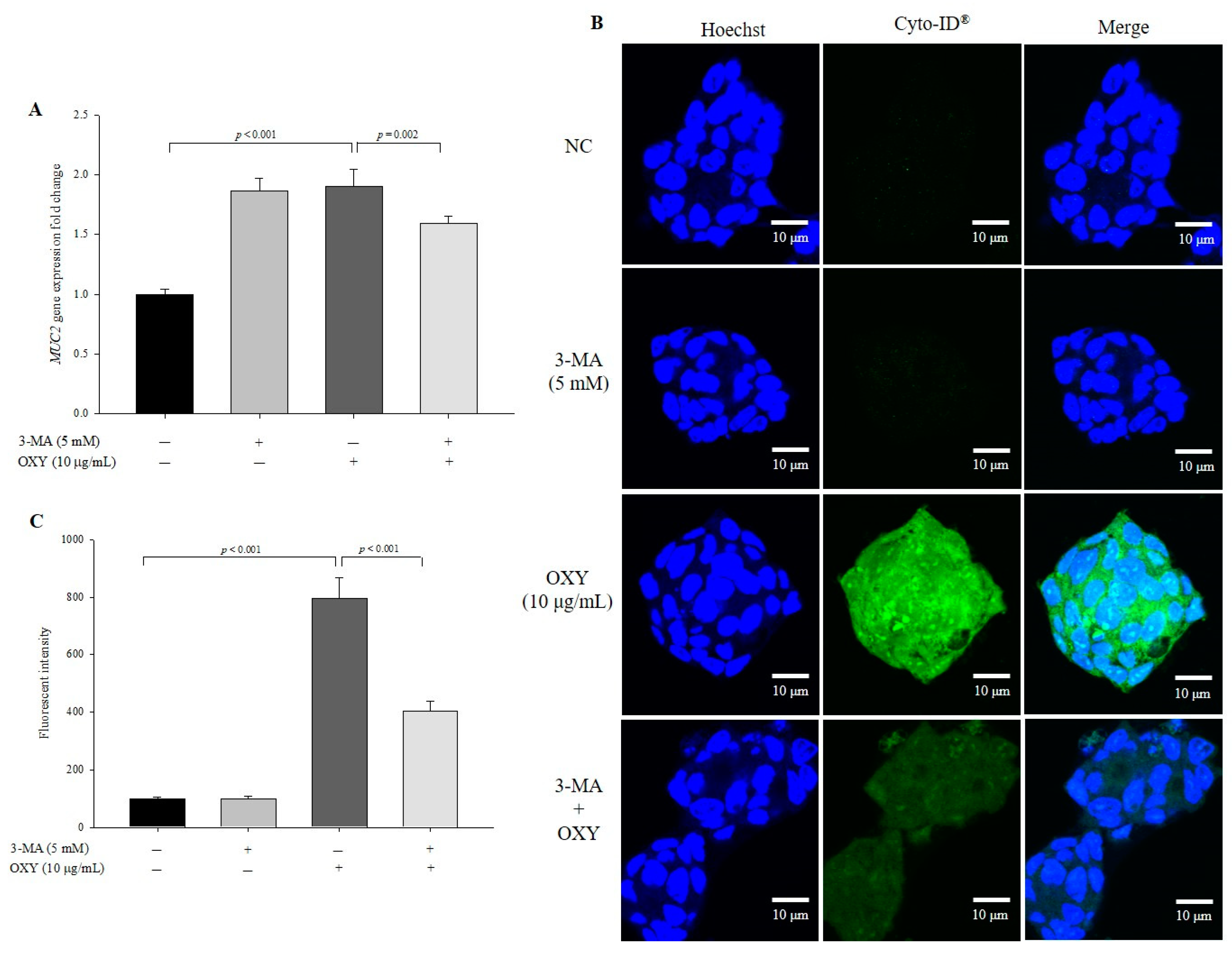 Antioxidants 09 00214 g009