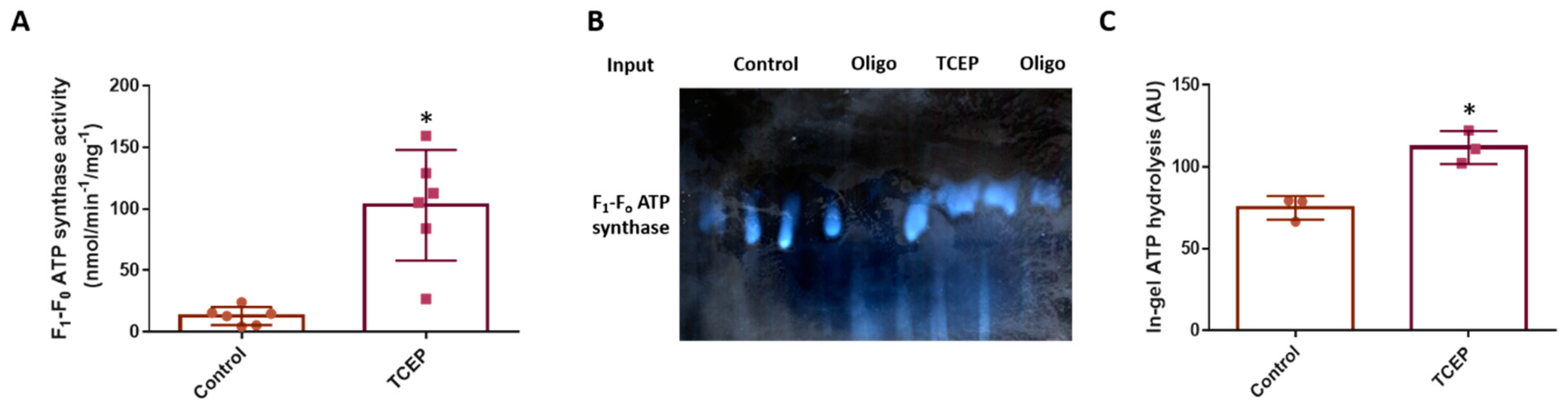 Antioxidants 09 00215 g005