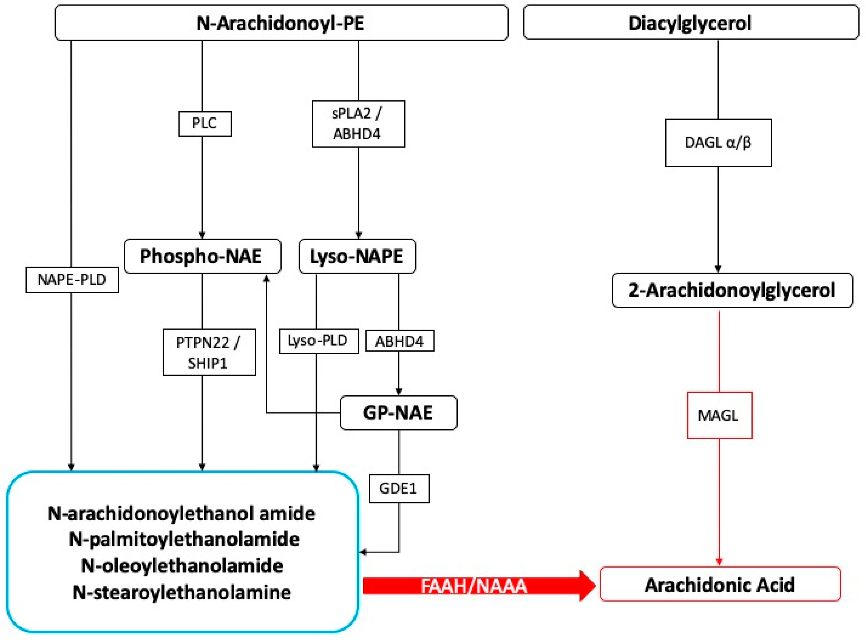 Antioxidants 09 00216 g001 Antioxidants 09 00216 g001