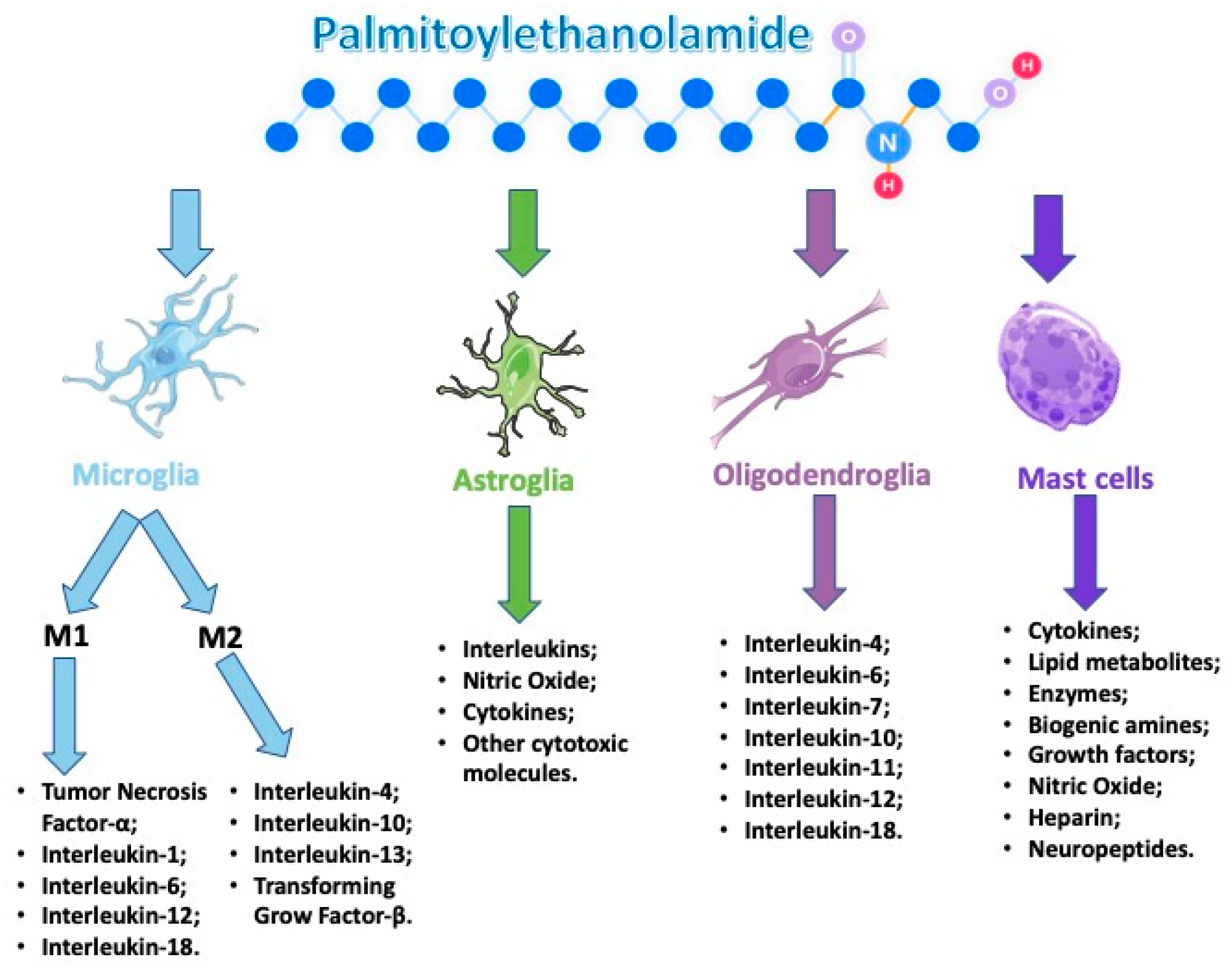 Antioxidants 09 00216 g002 Antioxidants 09 00216 g002