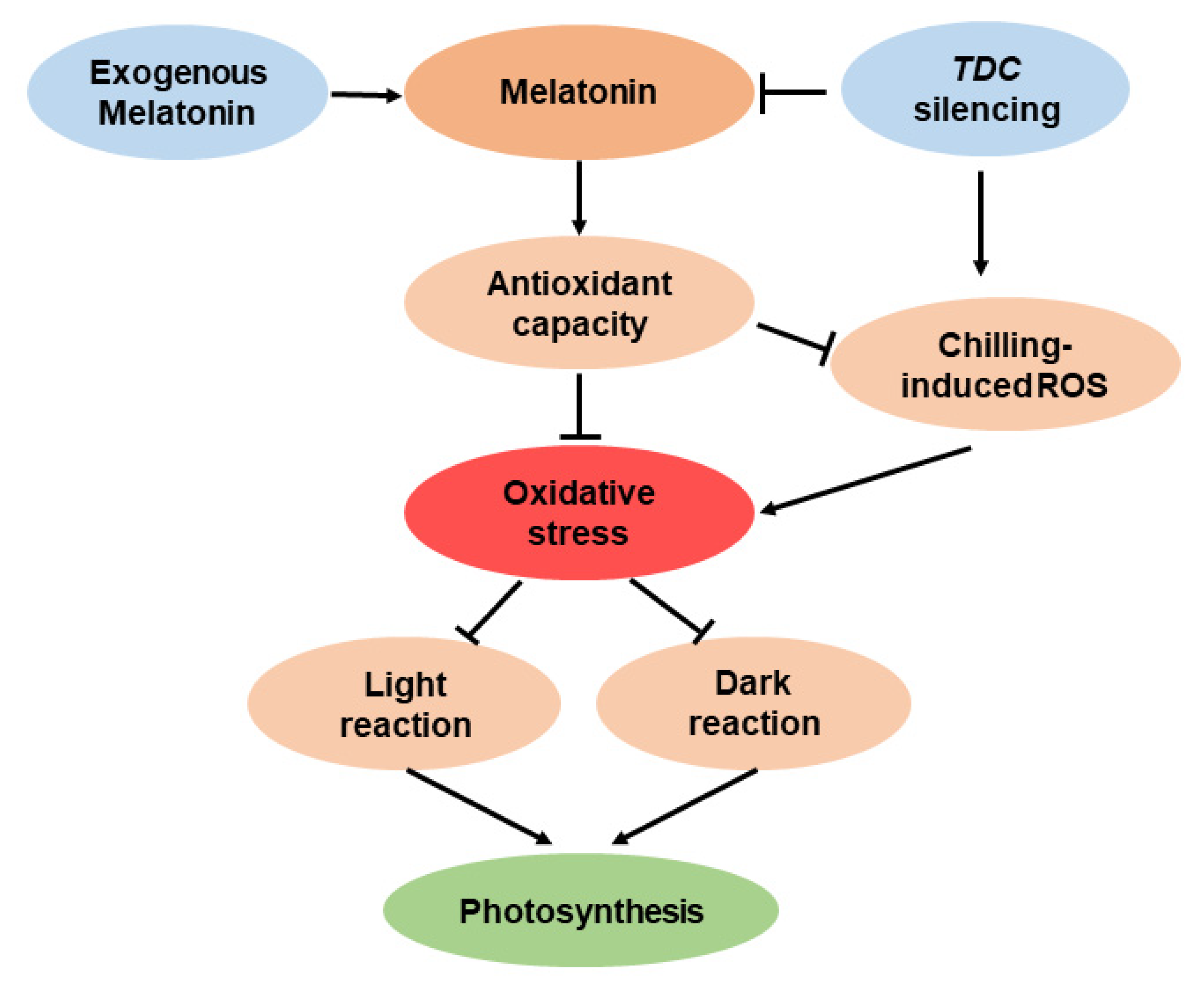 Antioxidants 09 00218 g008
