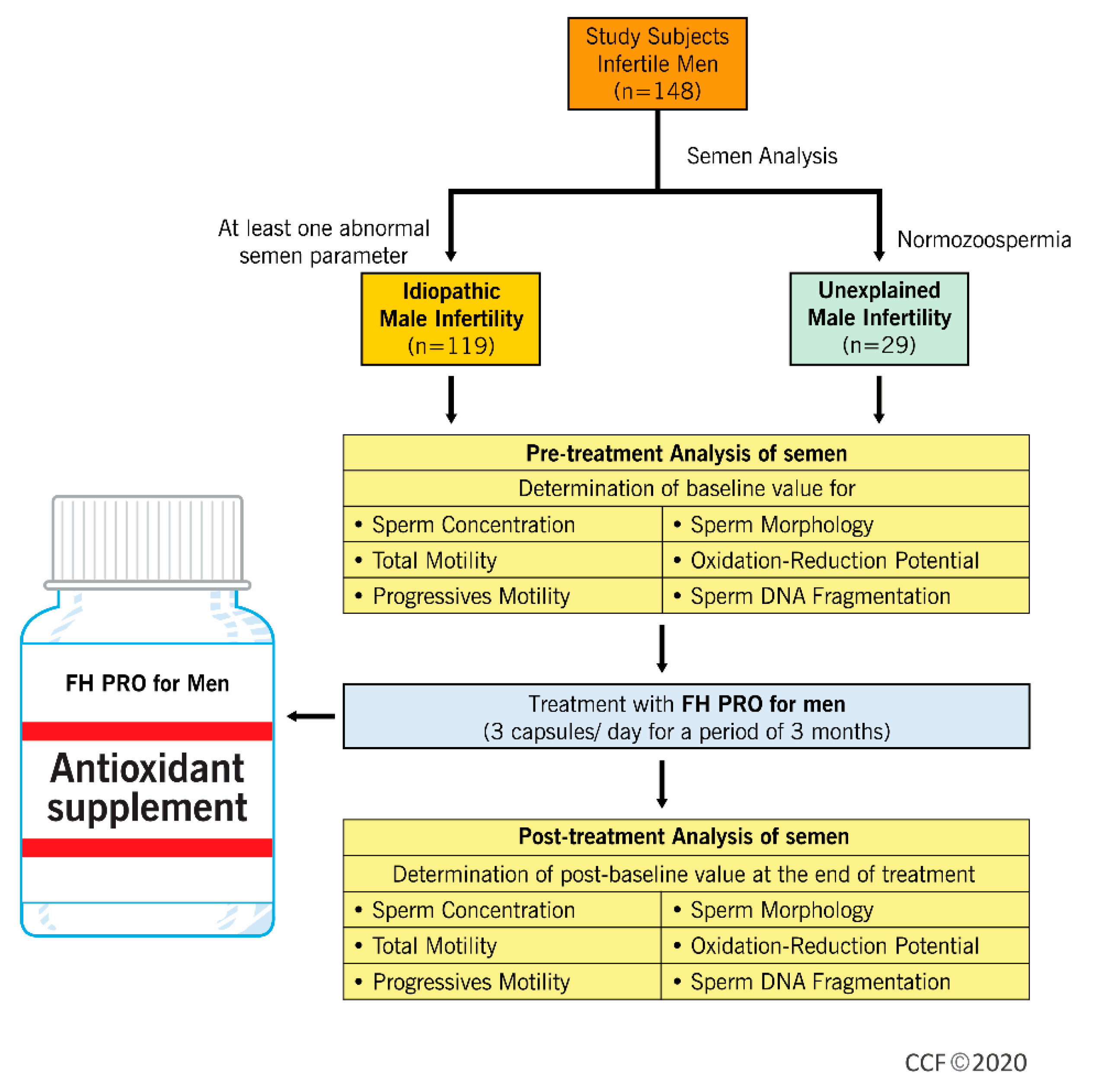 Antioxidants 09 00219 g001 Antioxidants 09 00219 g001