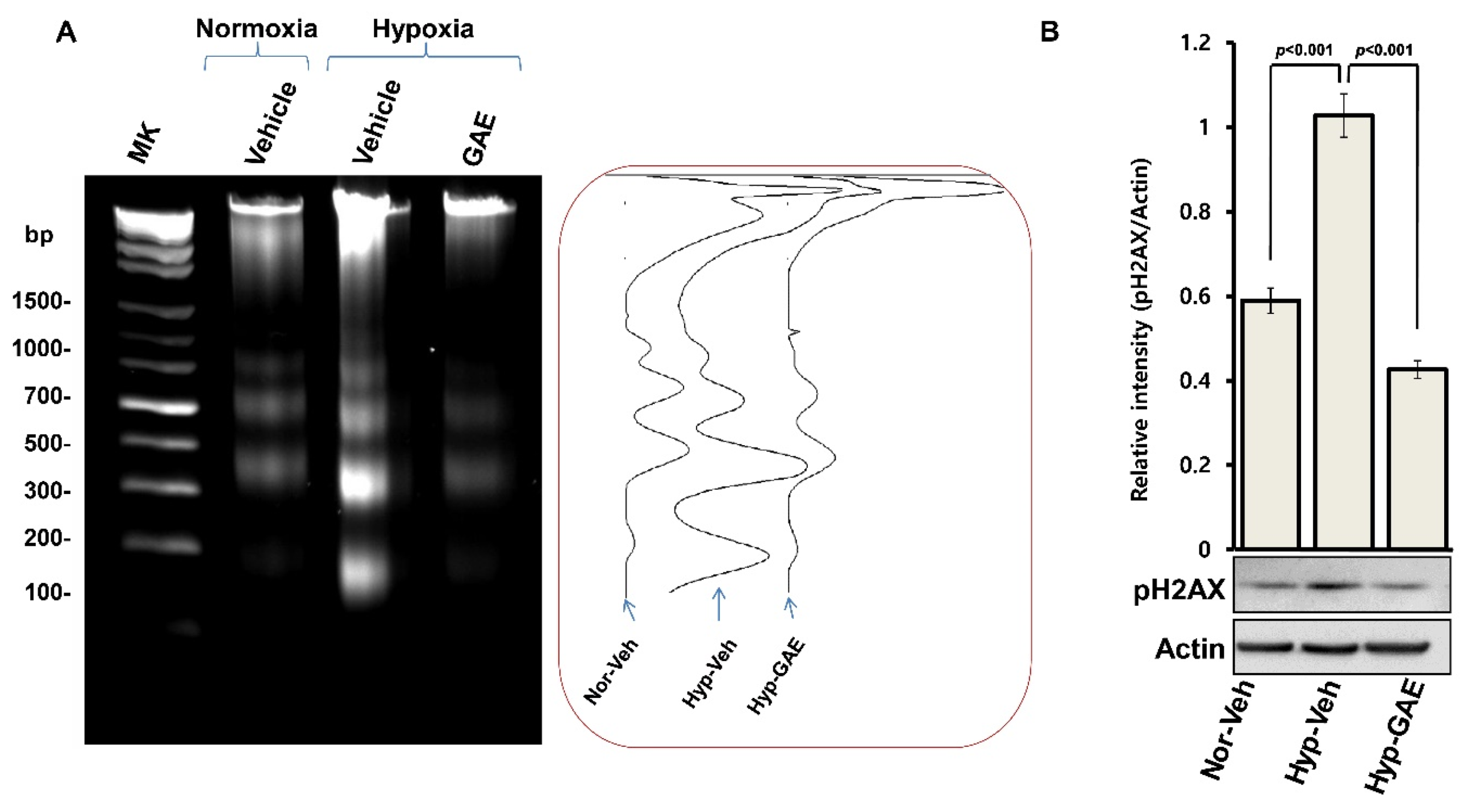 Antioxidants 09 00223 g004 Antioxidants 09 00223 g004