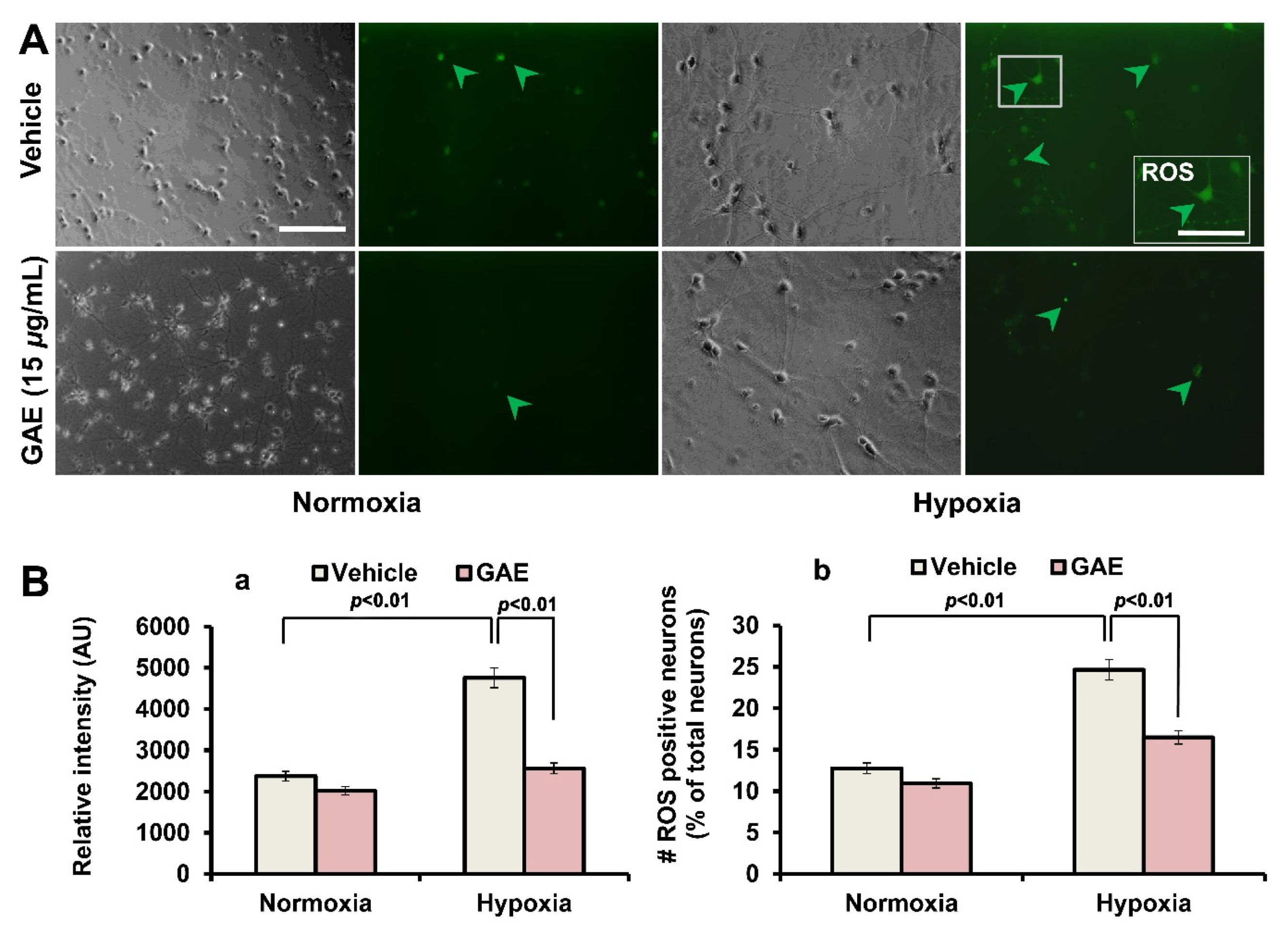 Antioxidants 09 00223 g005 Antioxidants 09 00223 g005