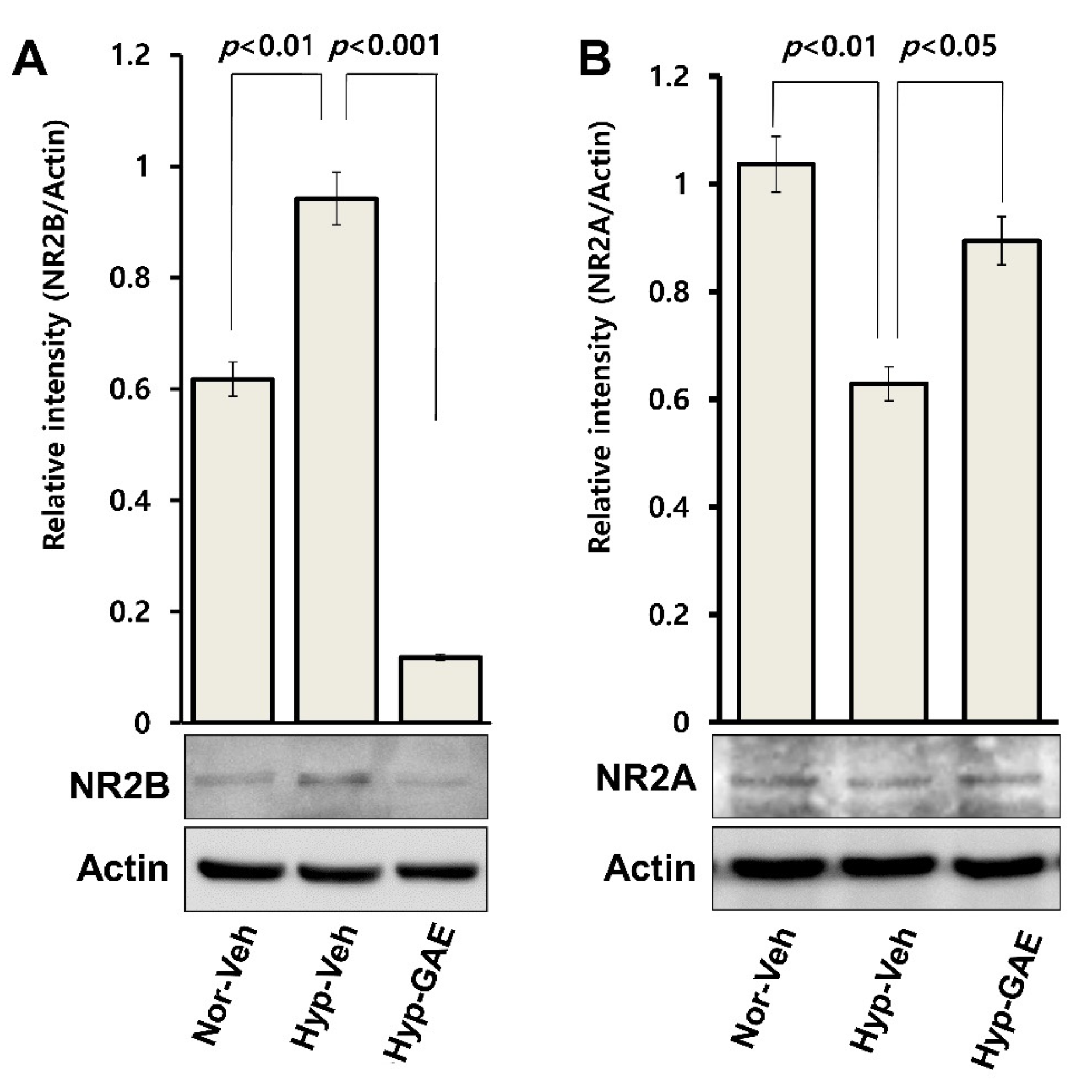 Antioxidants 09 00223 g007 Antioxidants 09 00223 g007