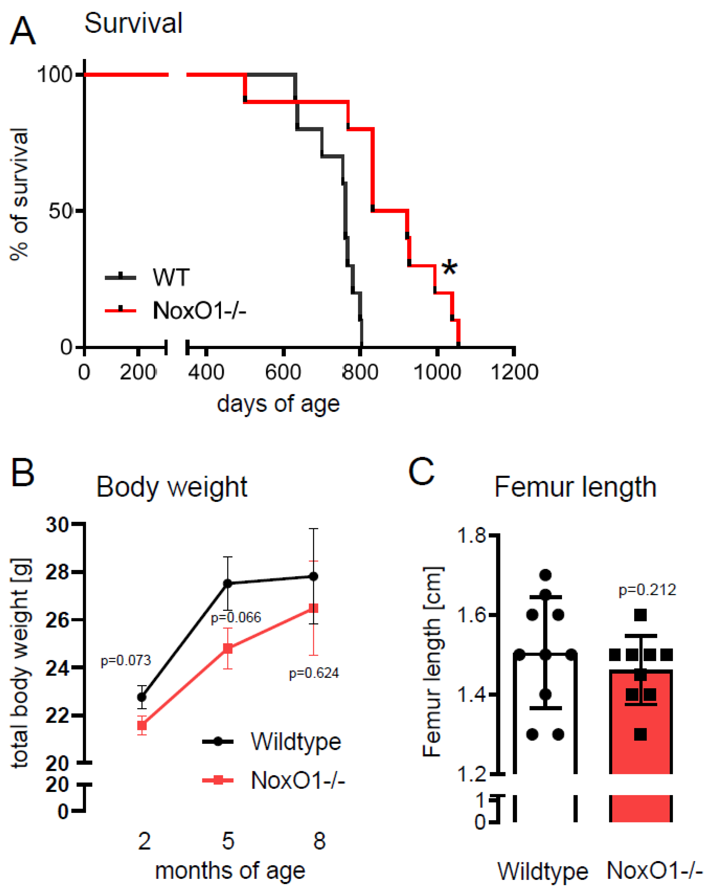 Antioxidants 09 00226 g001