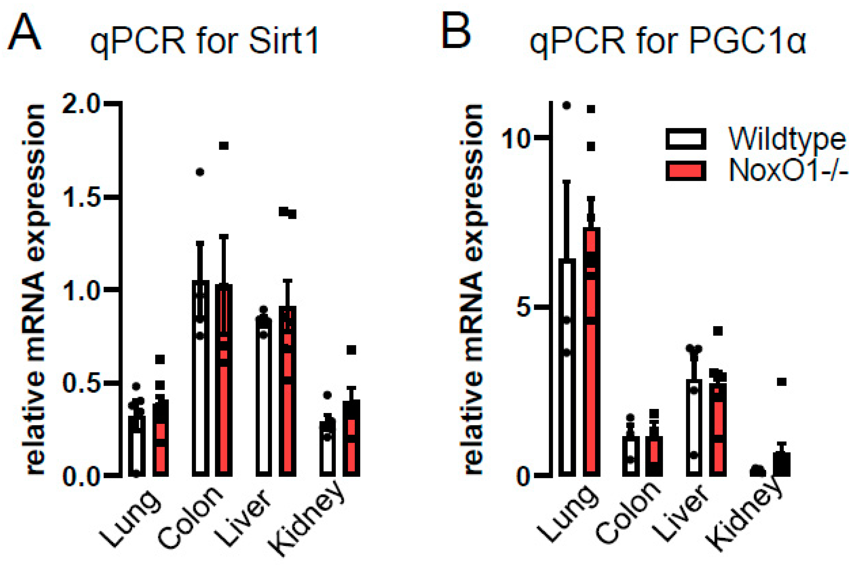 Antioxidants 09 00226 g002
