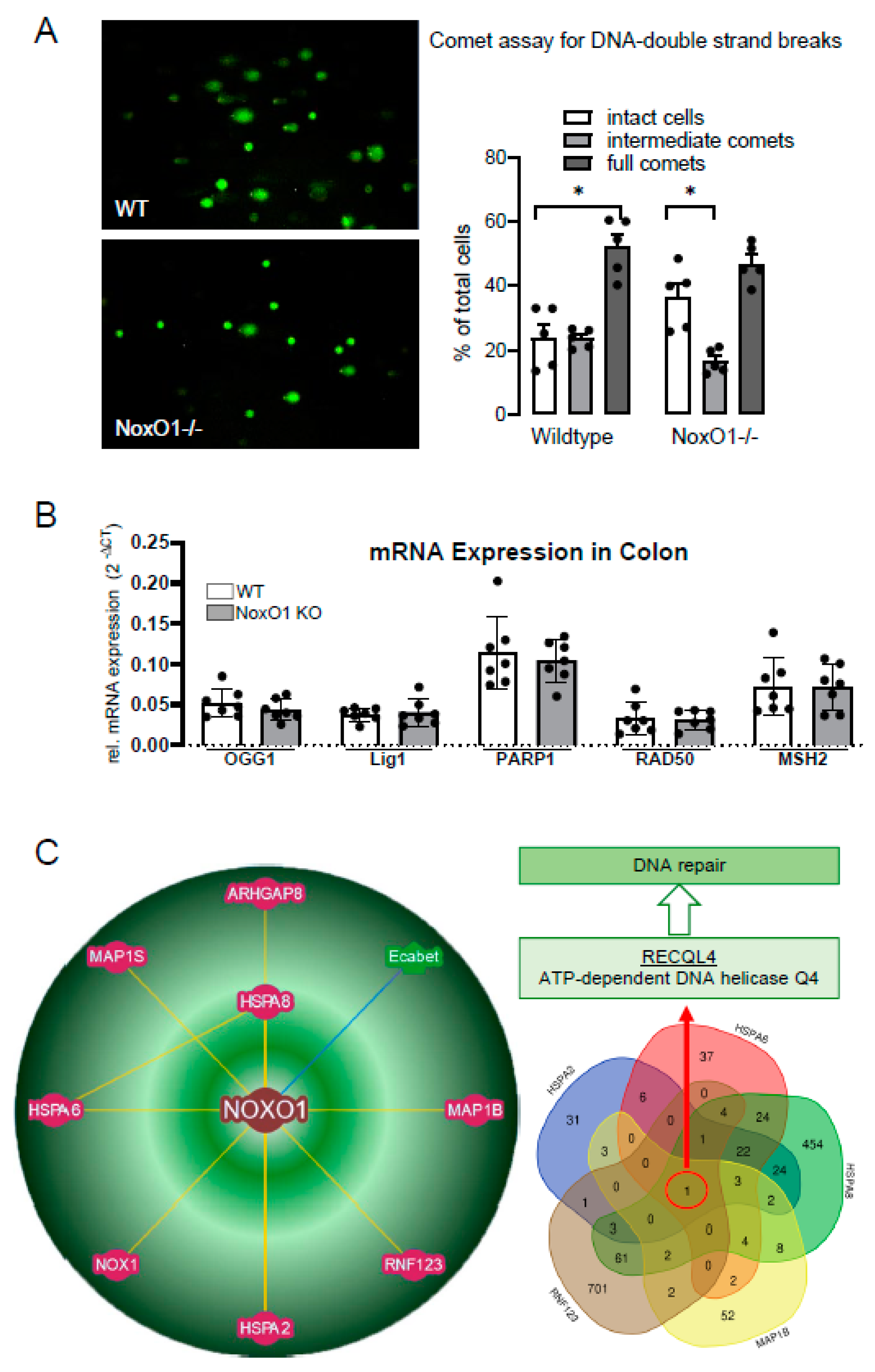 Antioxidants 09 00226 g004
