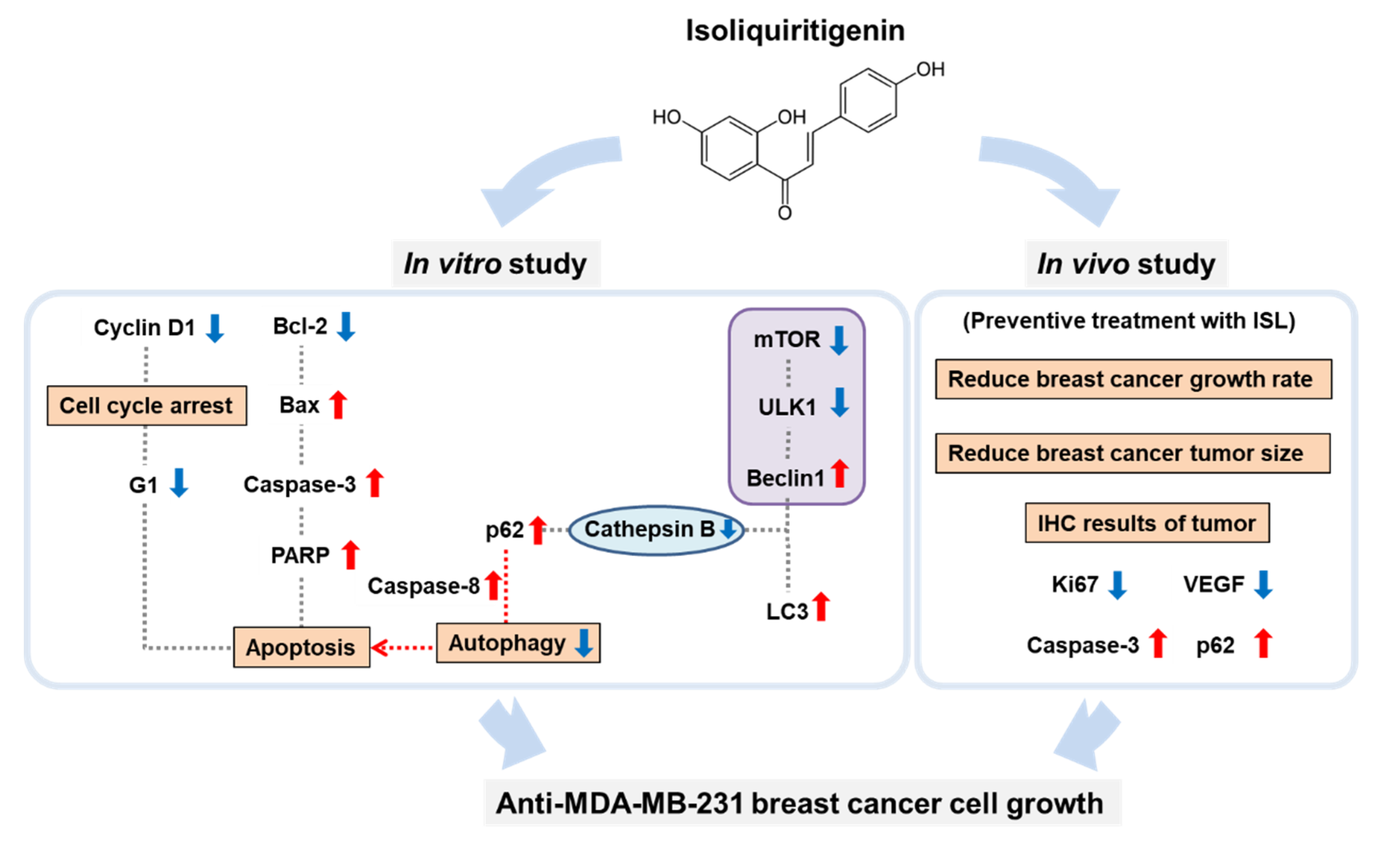 Antioxidants 09 00228 g007