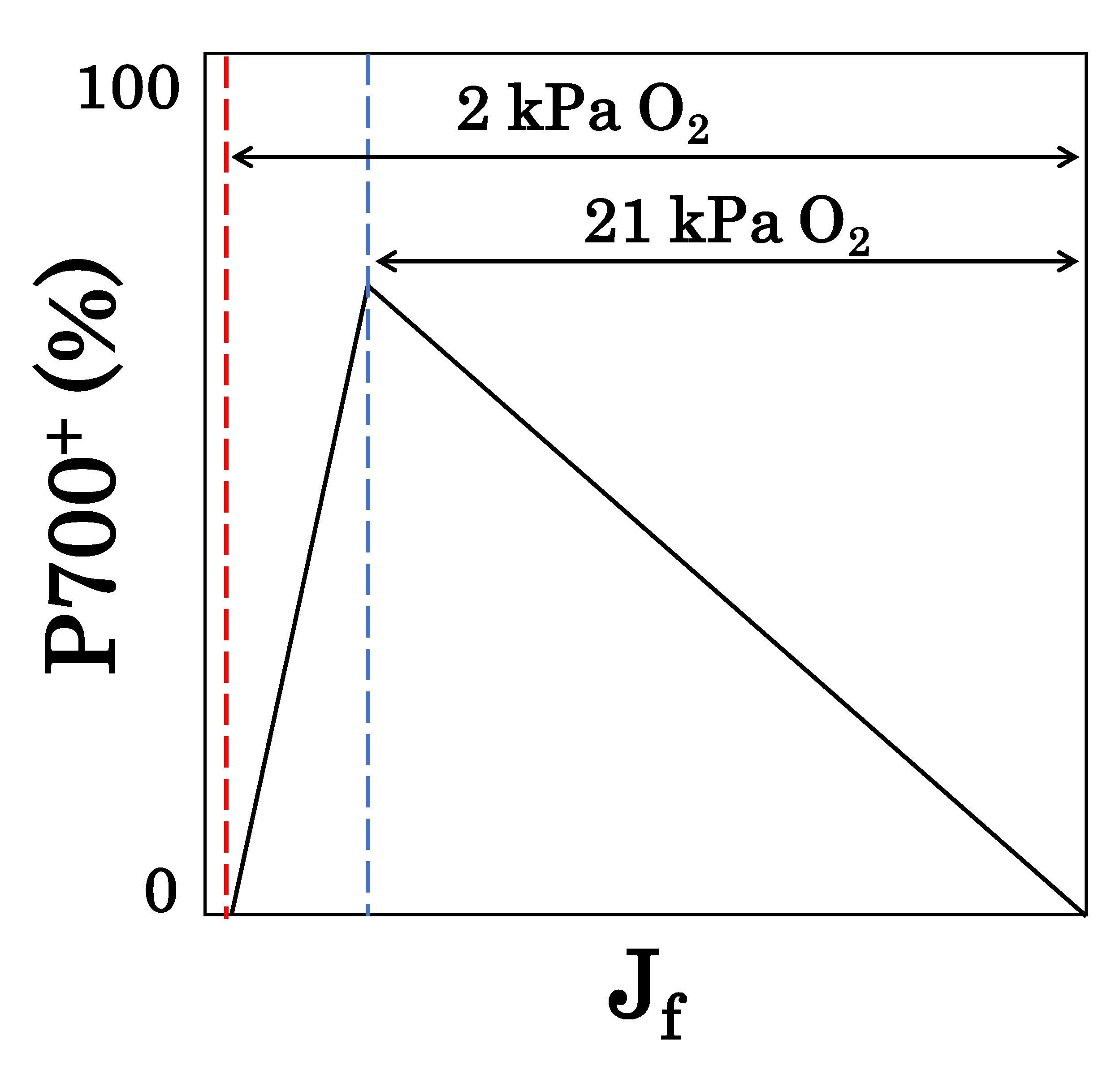 Antioxidants 09 00230 g005