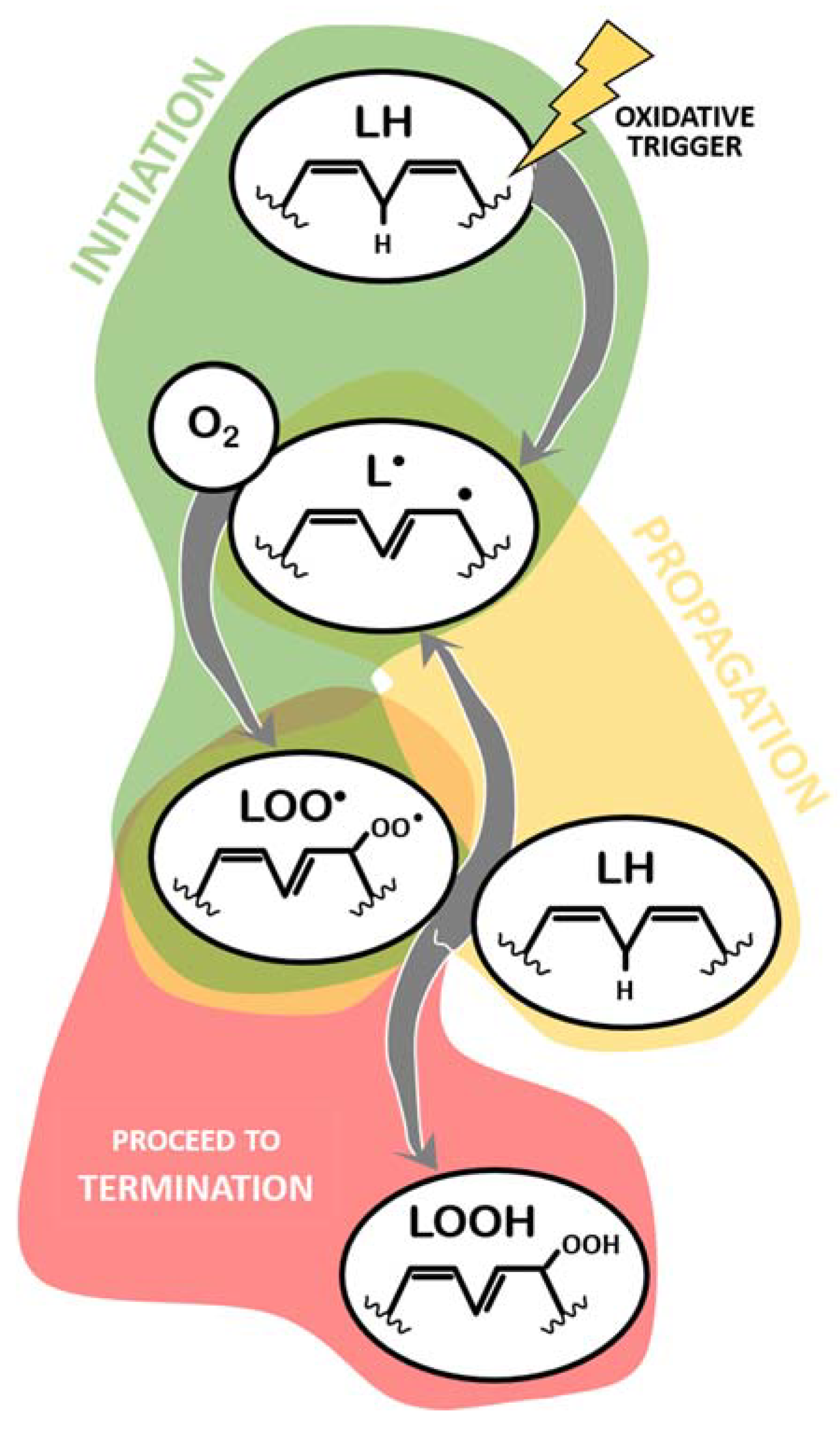 Antioxidants 09 00231 g001 Antioxidants 09 00231 g001