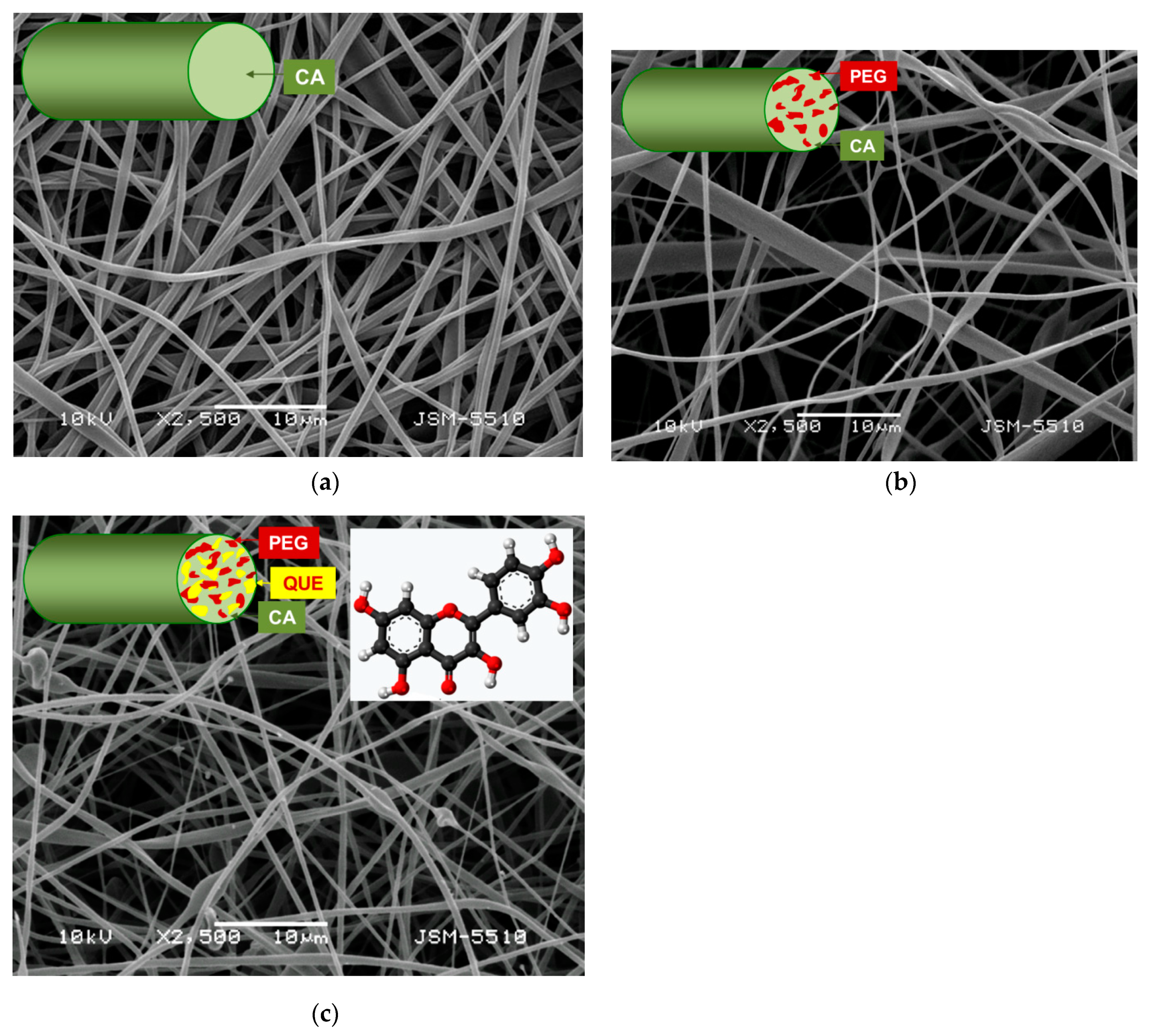 Antioxidants 09 00232 g001