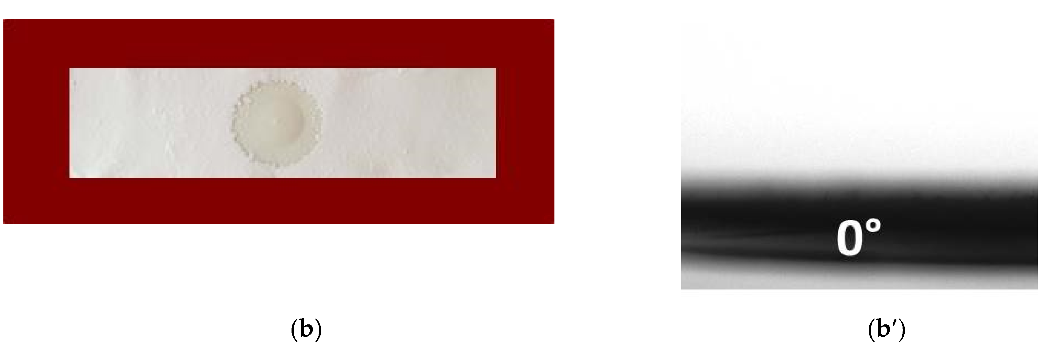 Antioxidants 09 00232 g003b