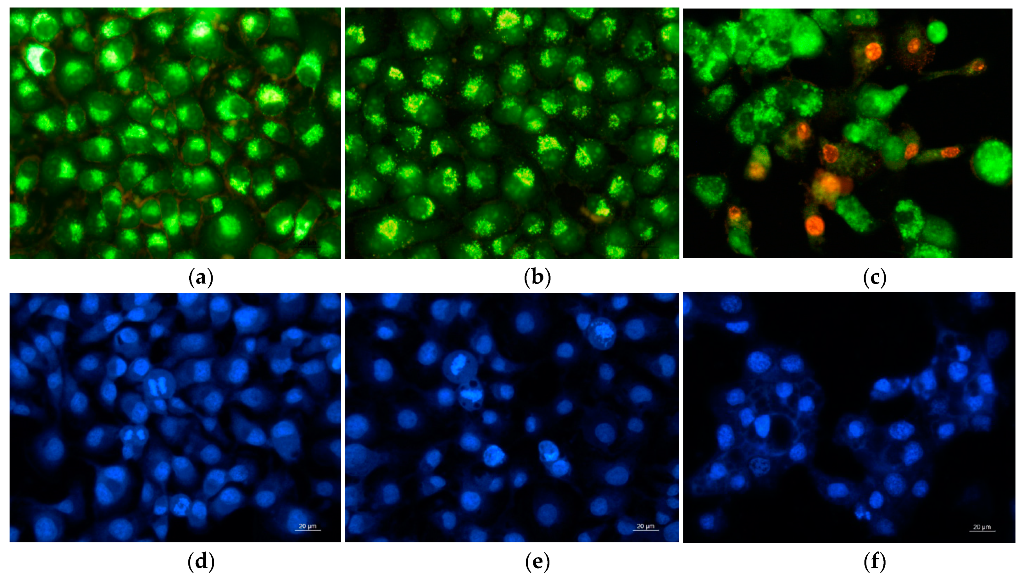 Antioxidants 09 00232 g009