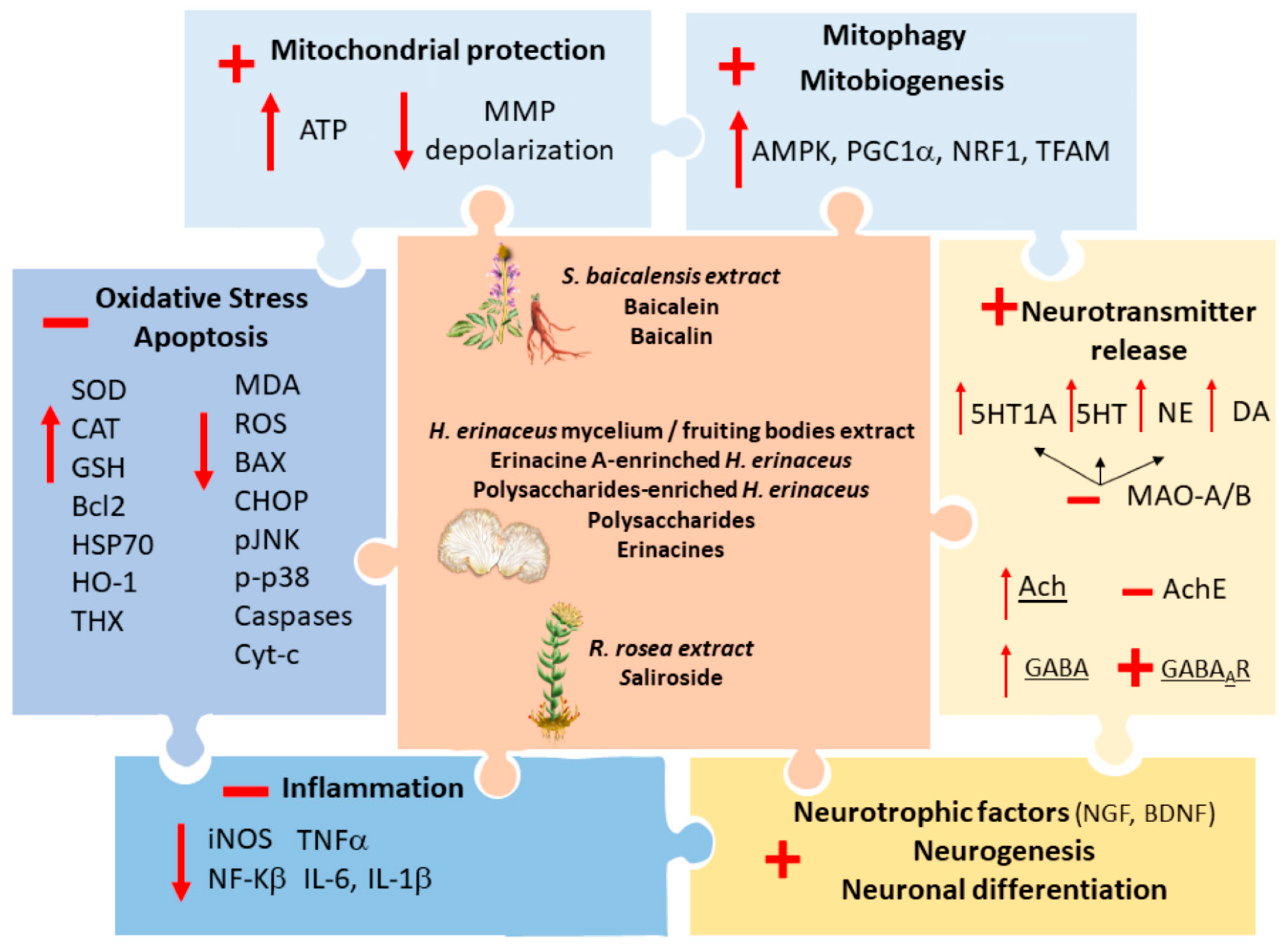 Antioxidants 09 00234 g003