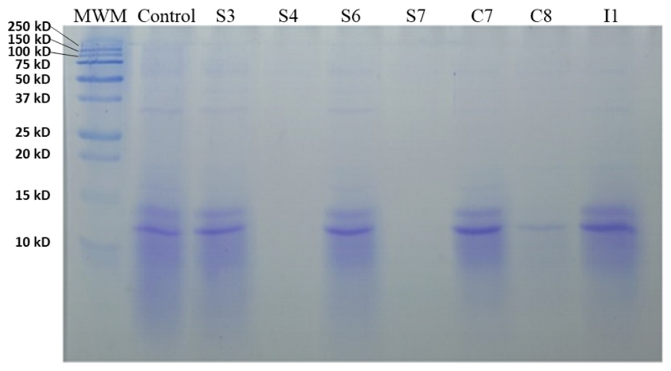 Antioxidants 09 00239 g001