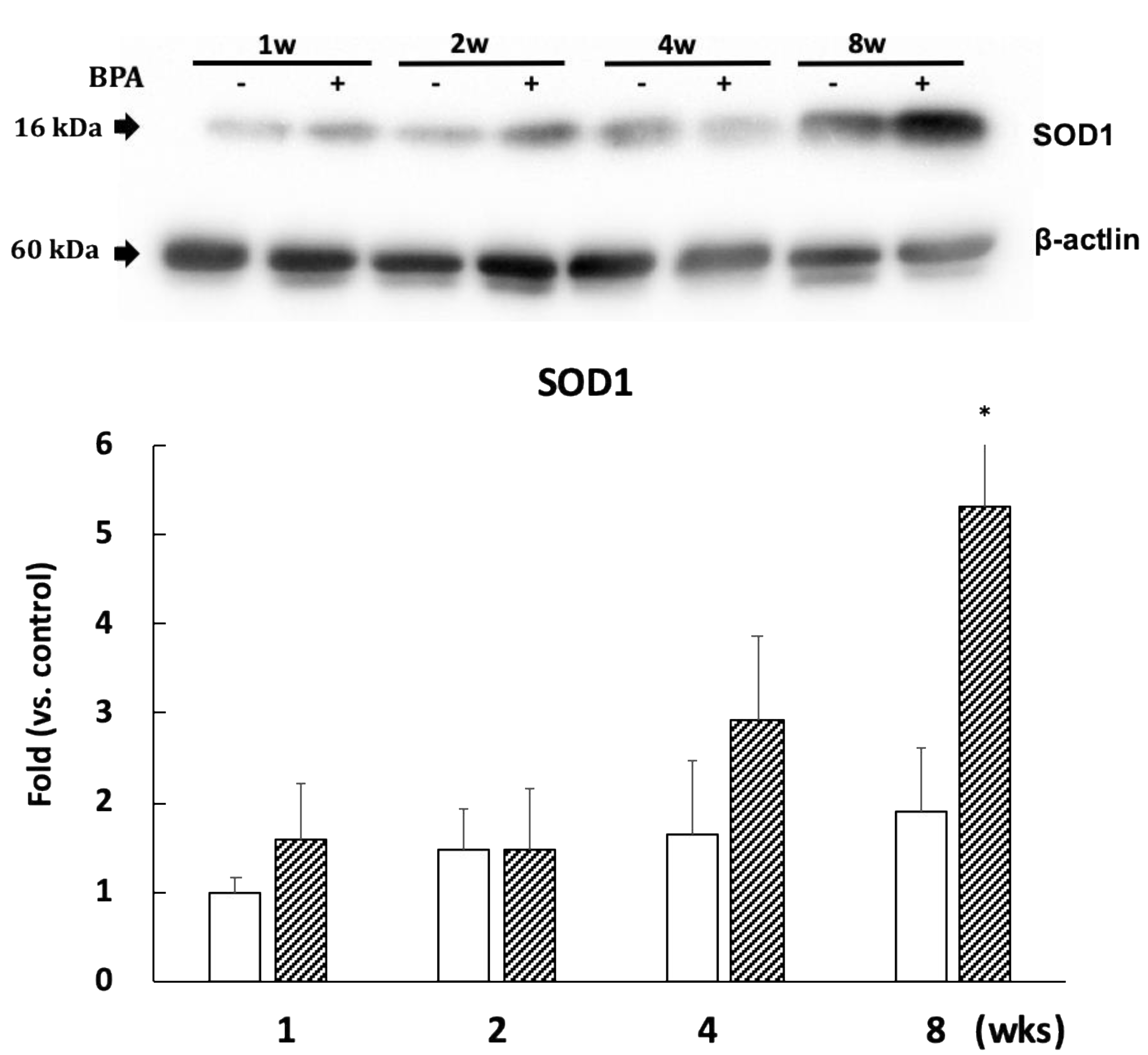 Antioxidants 09 00240 g006