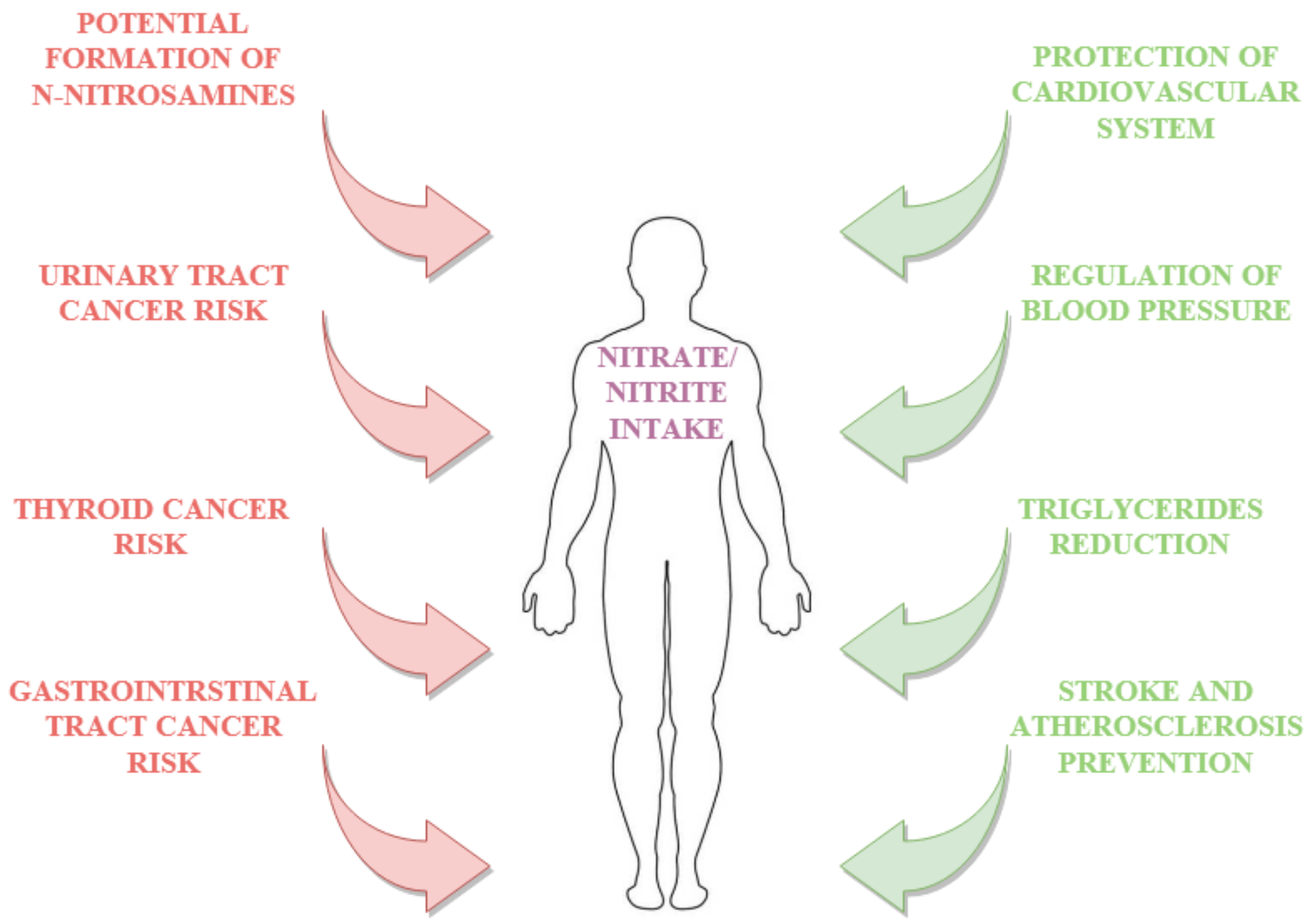 Antioxidants 09 00241 g004