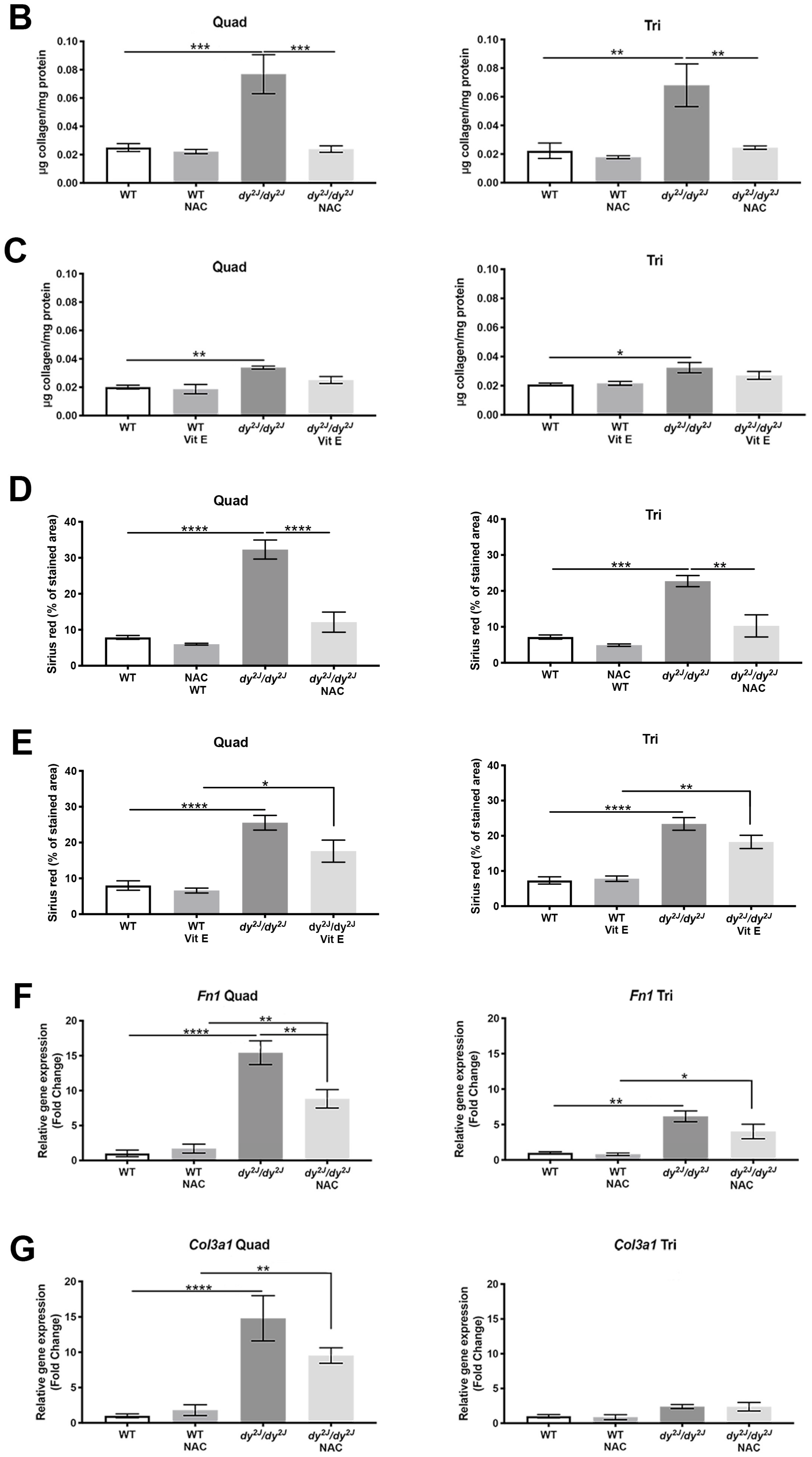 Antioxidants 09 00244 g004b