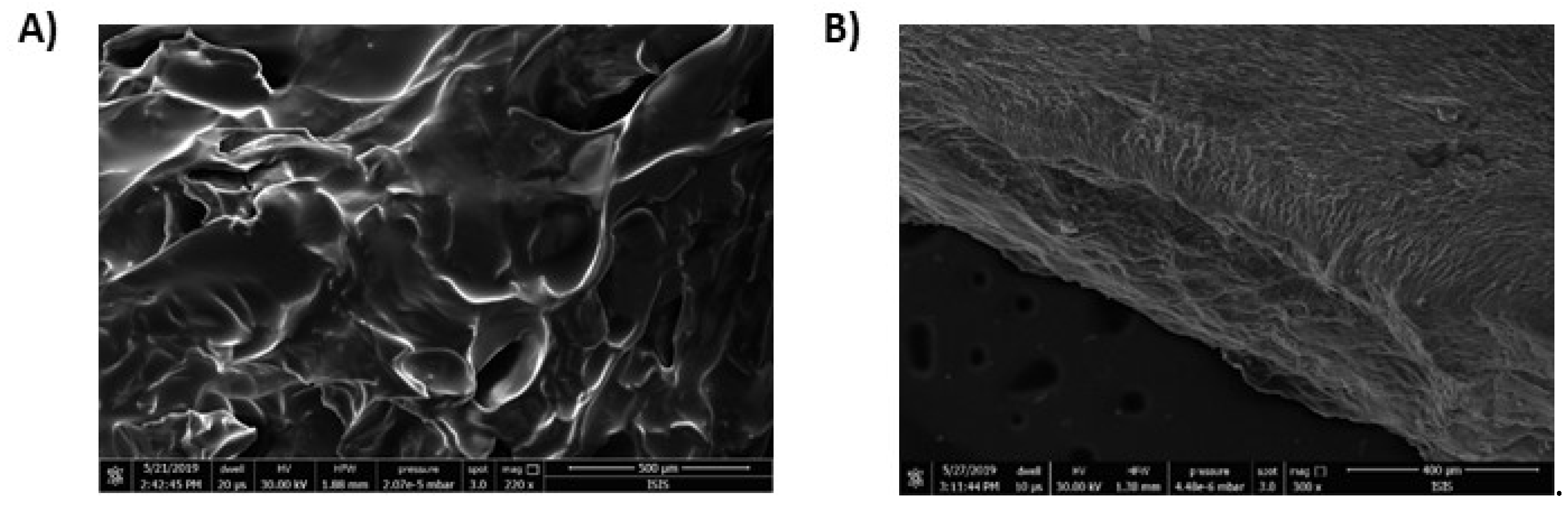 Antioxidants 09 00245 g005 Antioxidants 09 00245 g005
