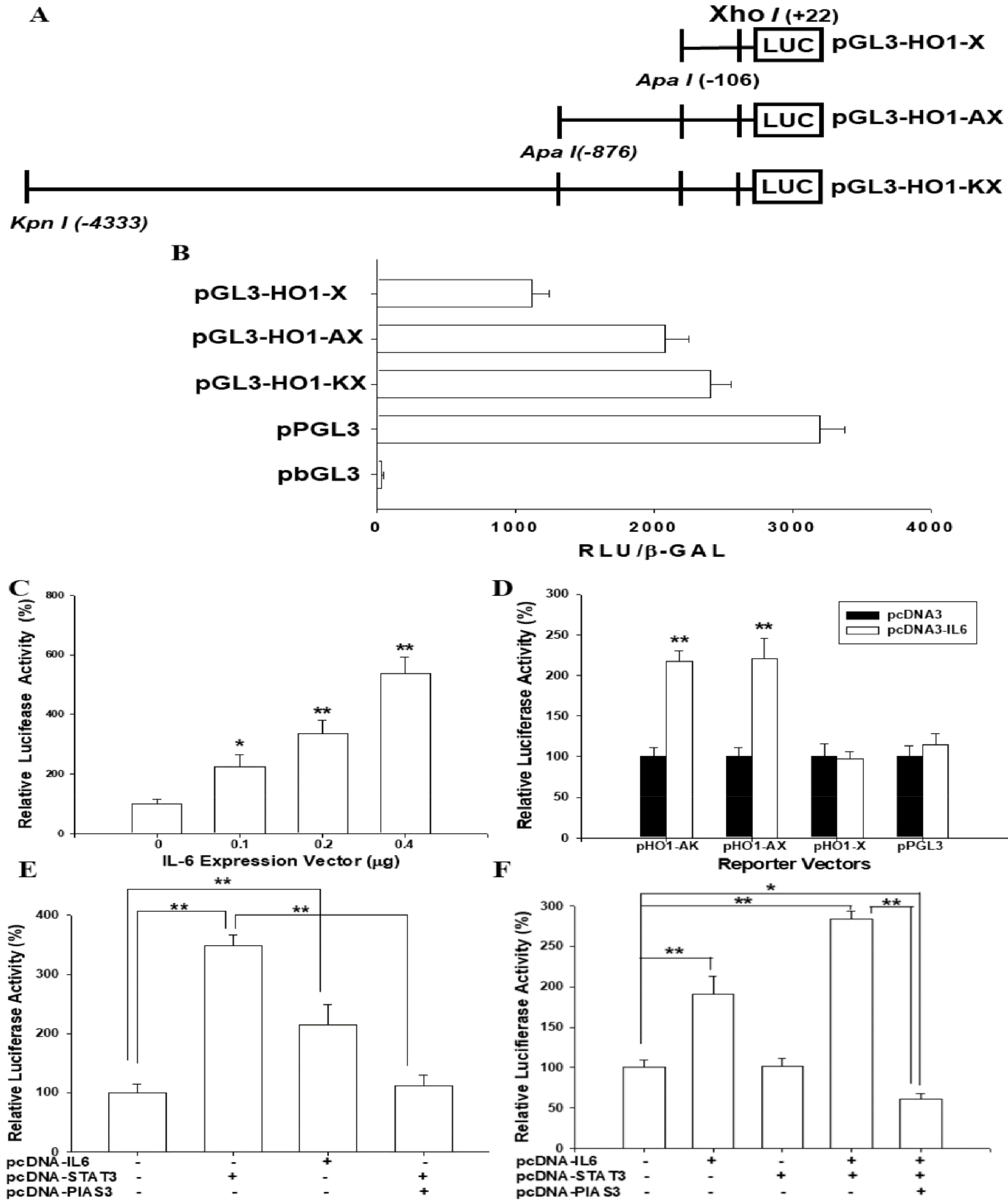 Antioxidants 09 00251 g005 Antioxidants 09 00251 g005