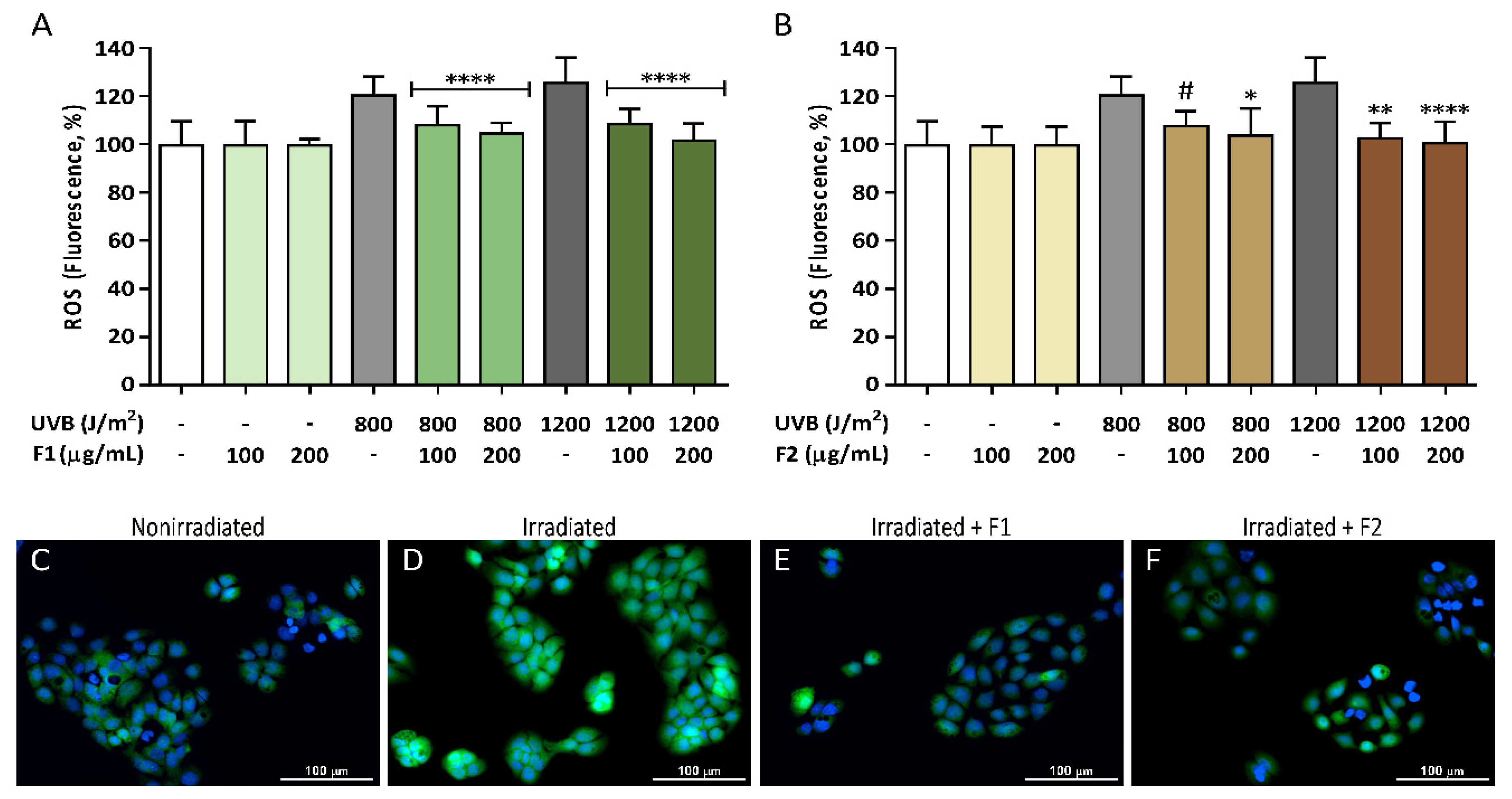 Antioxidants 09 00255 g004
