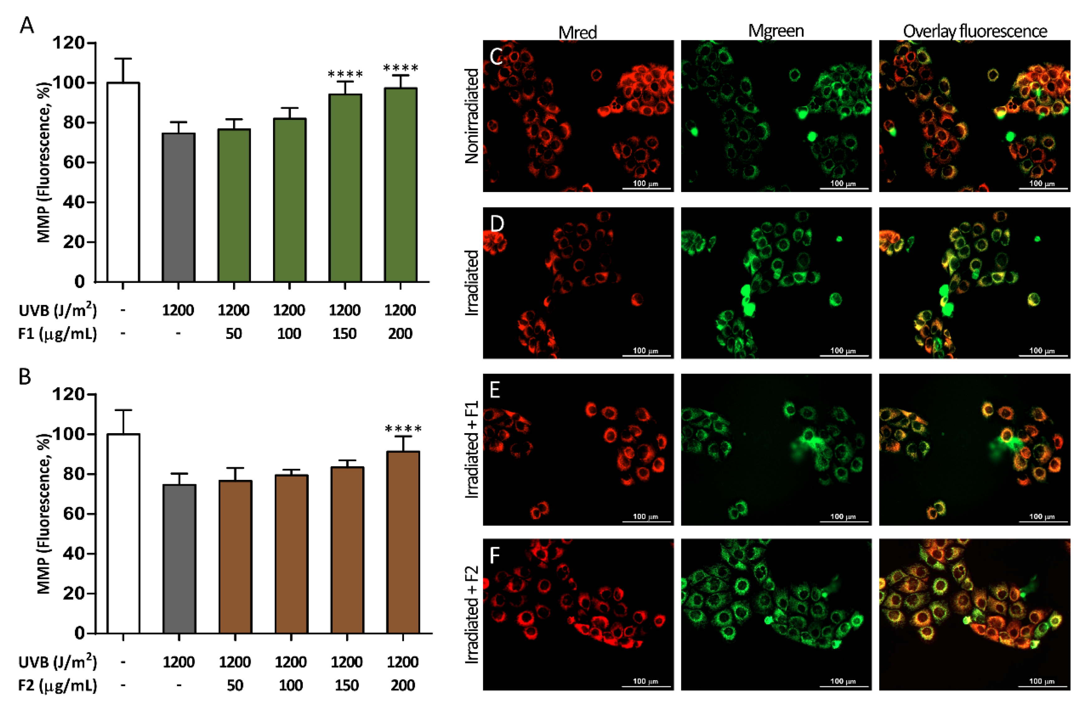 Antioxidants 09 00255 g005