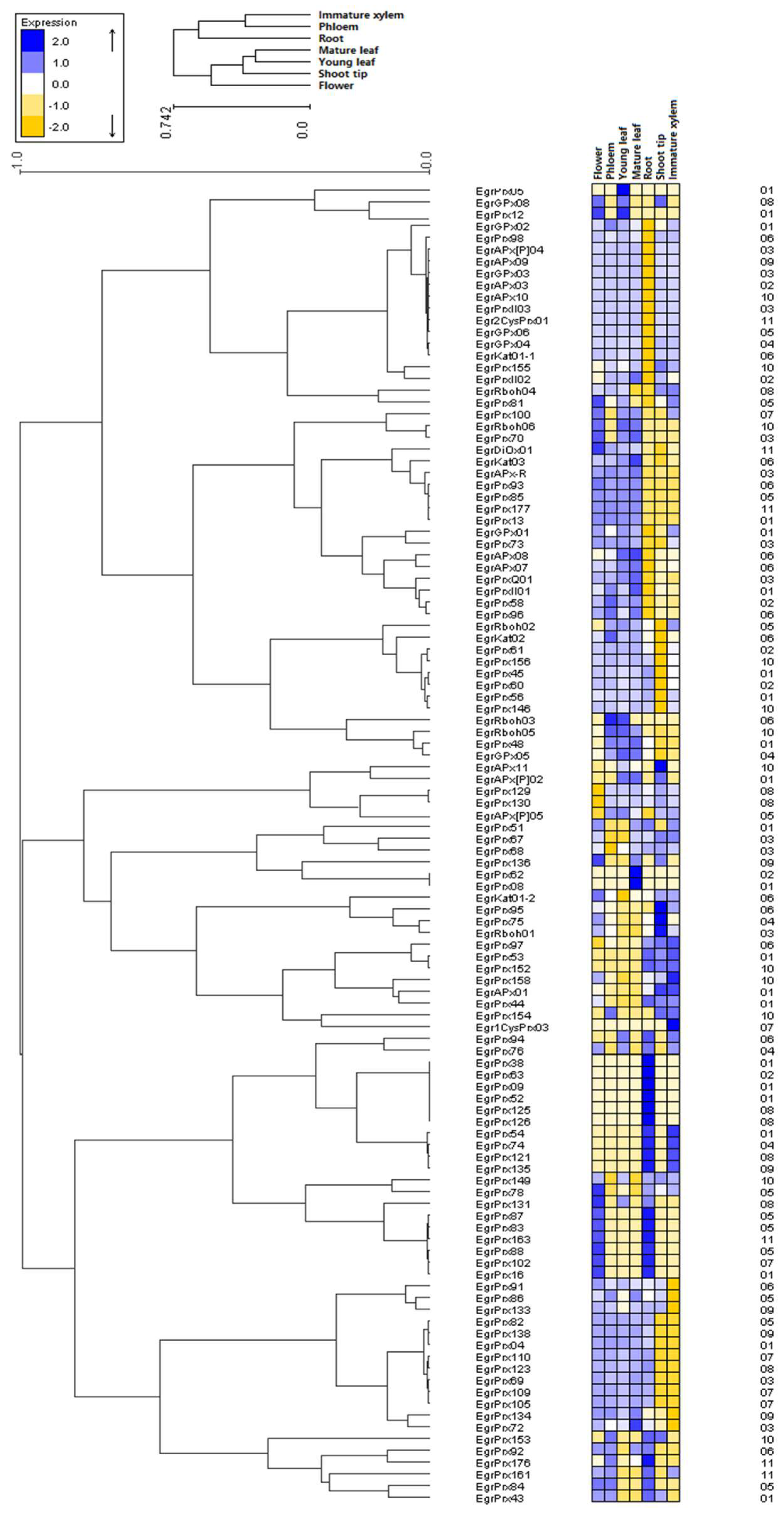 Antioxidants 09 00257 g007