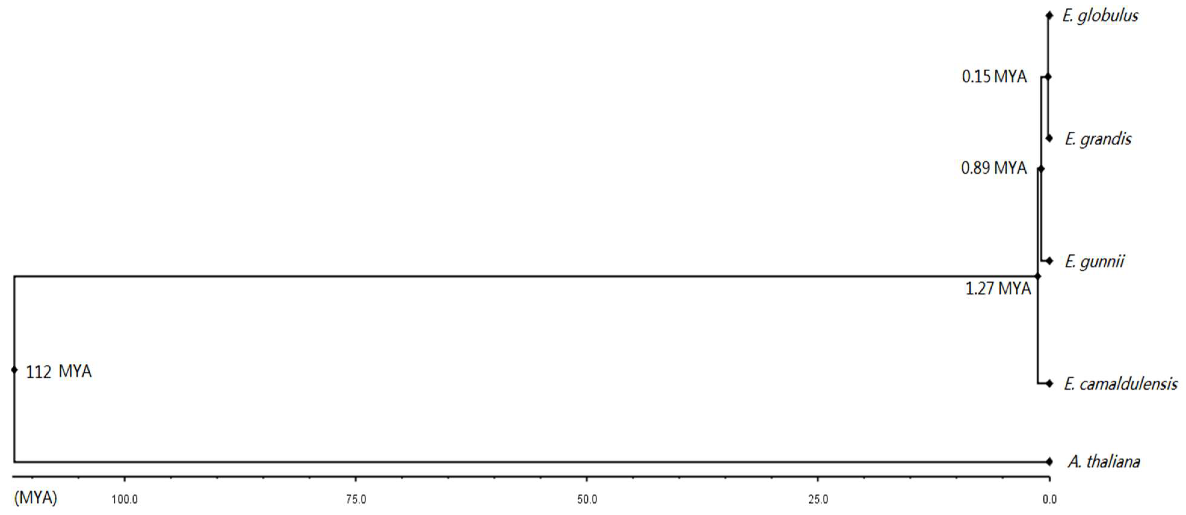 Antioxidants 09 00257 g008