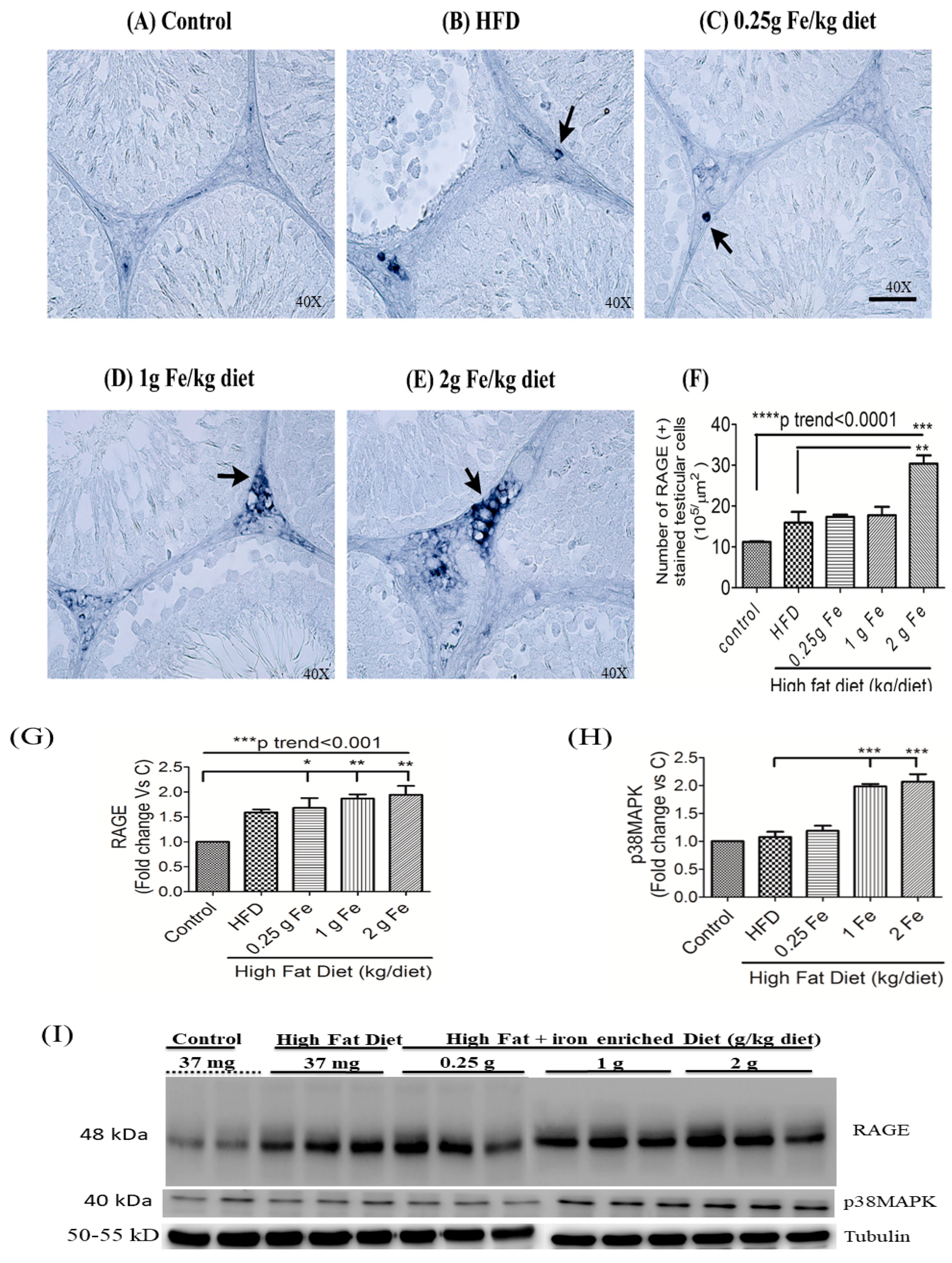 Antioxidants 09 00261 g004